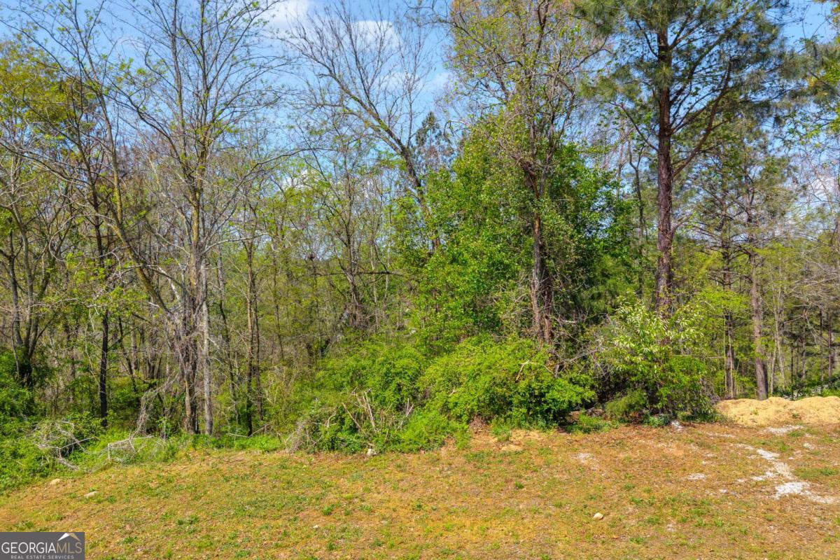 9147 Golfview Lane Property Photo 15