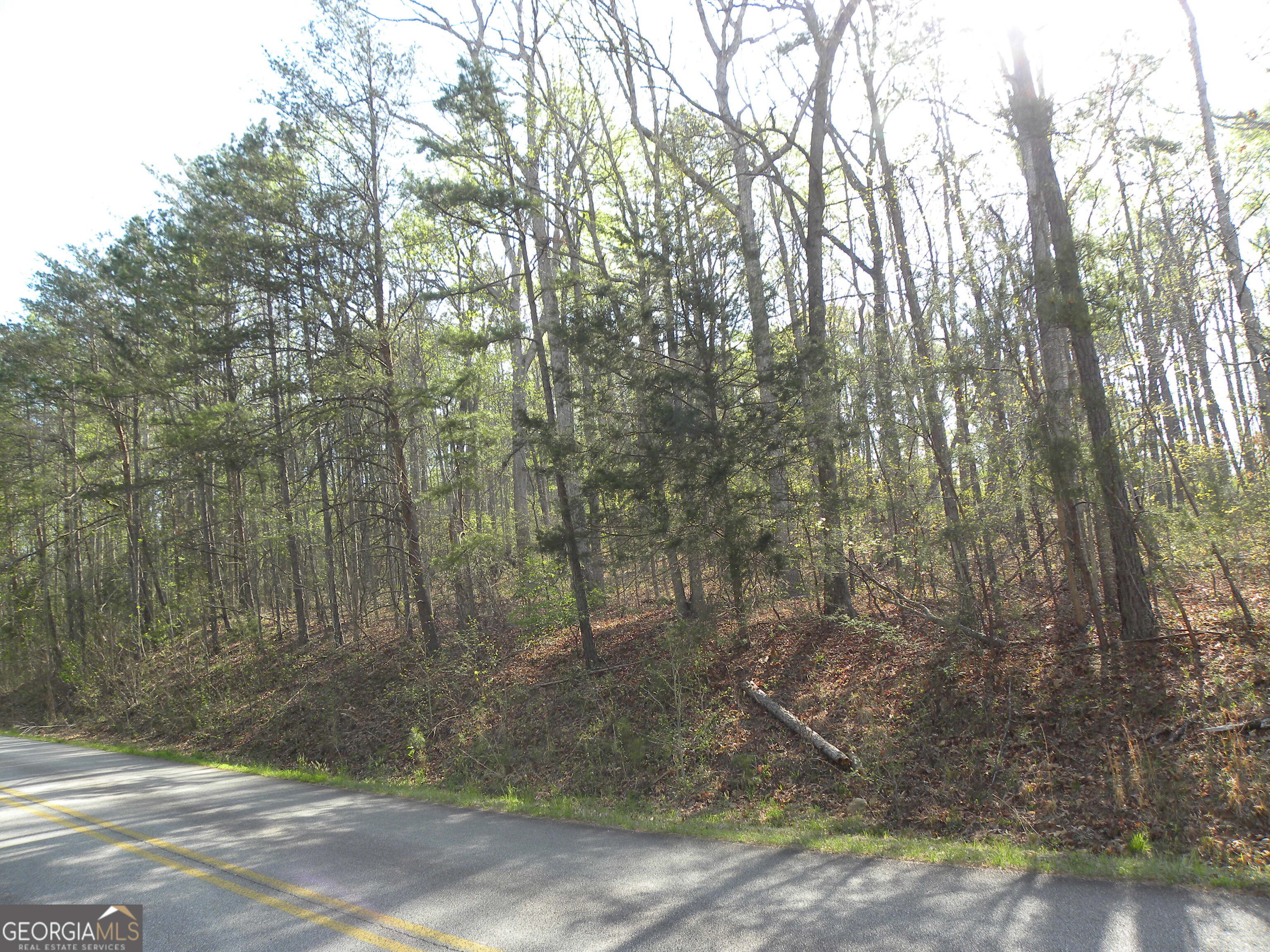 1323 Seven Forks Road