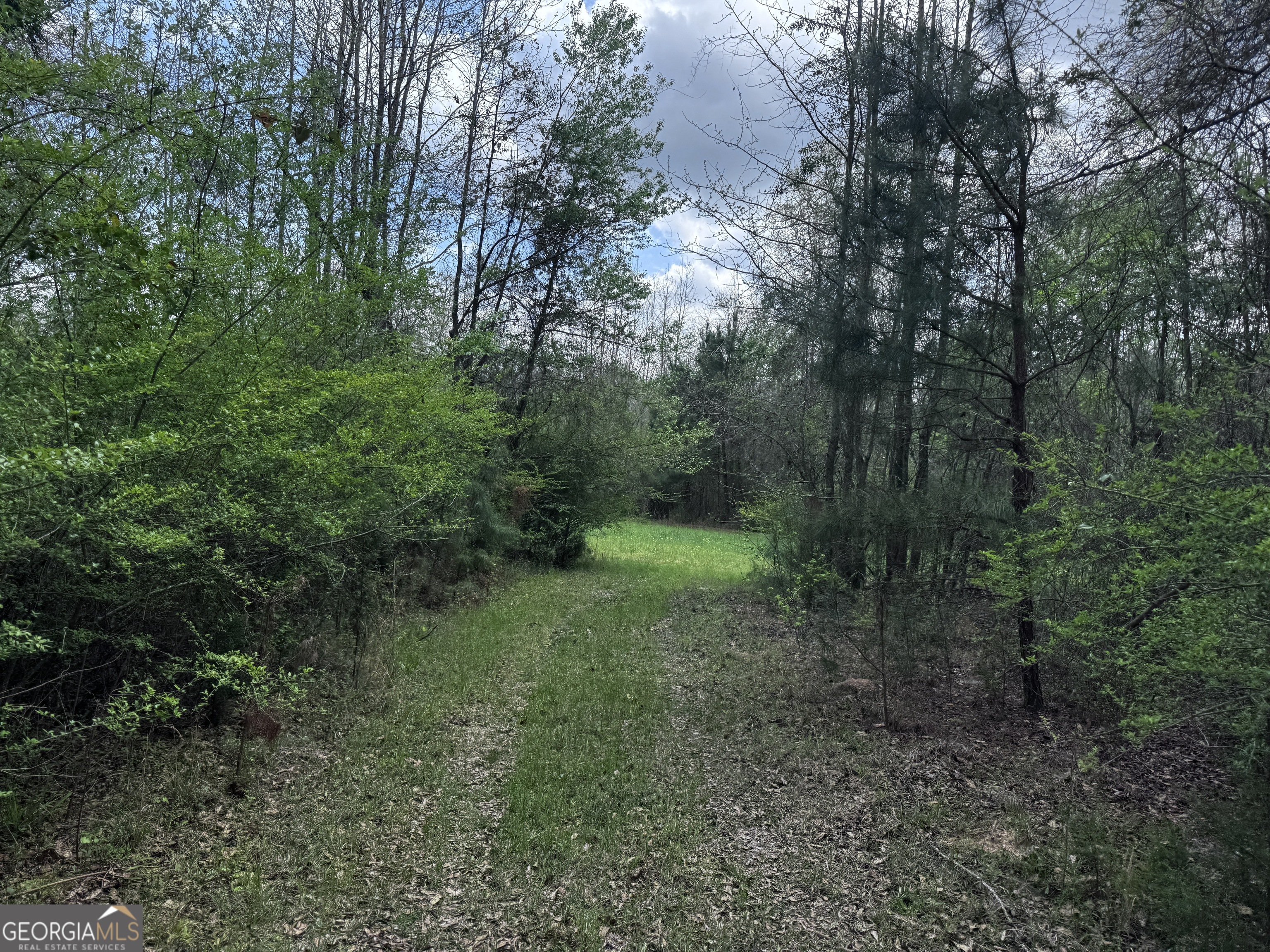 31+/- Ac Highway 26 Property Photo 3