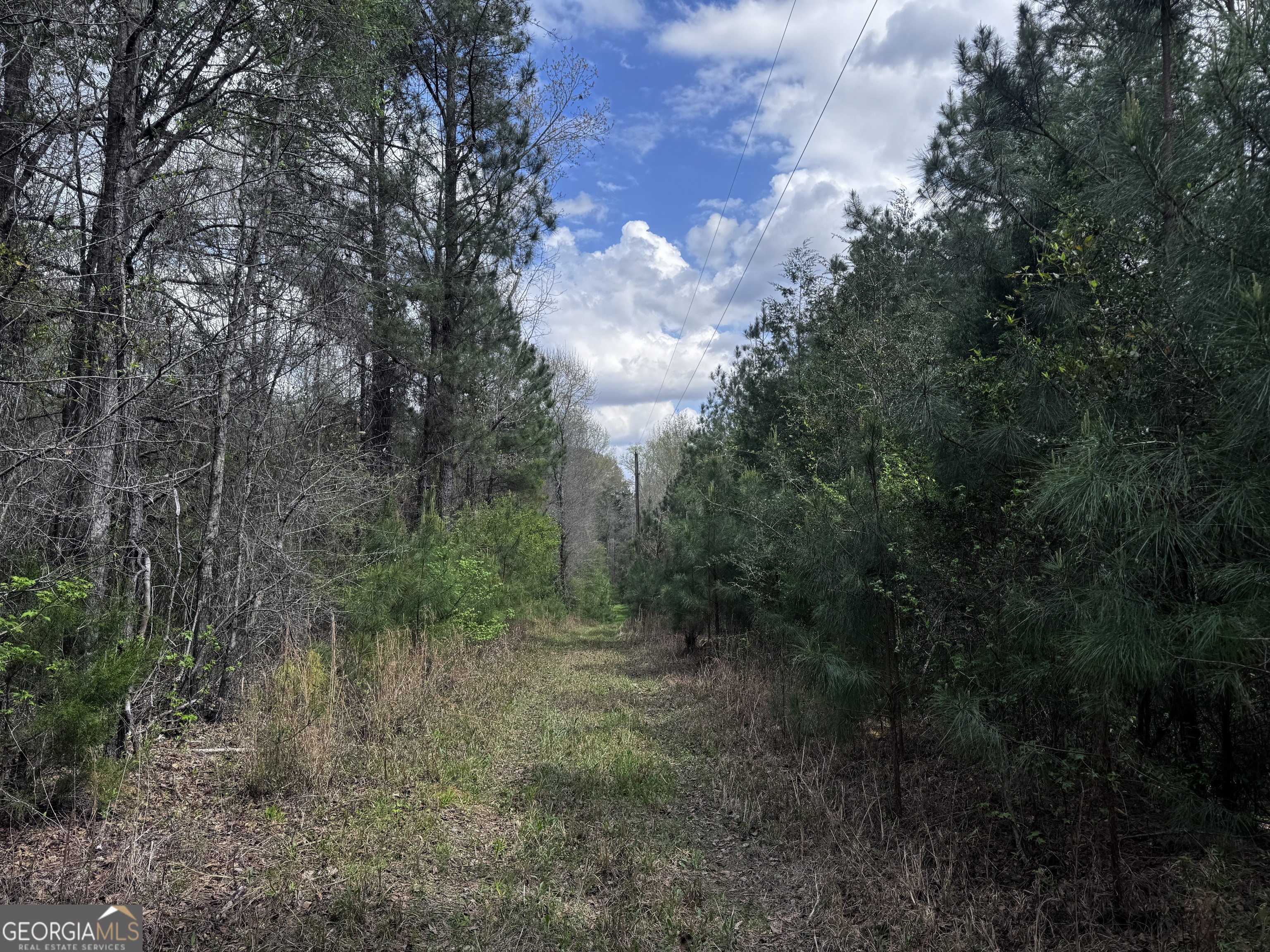 31+/- Ac Highway 26 Property Photo 4