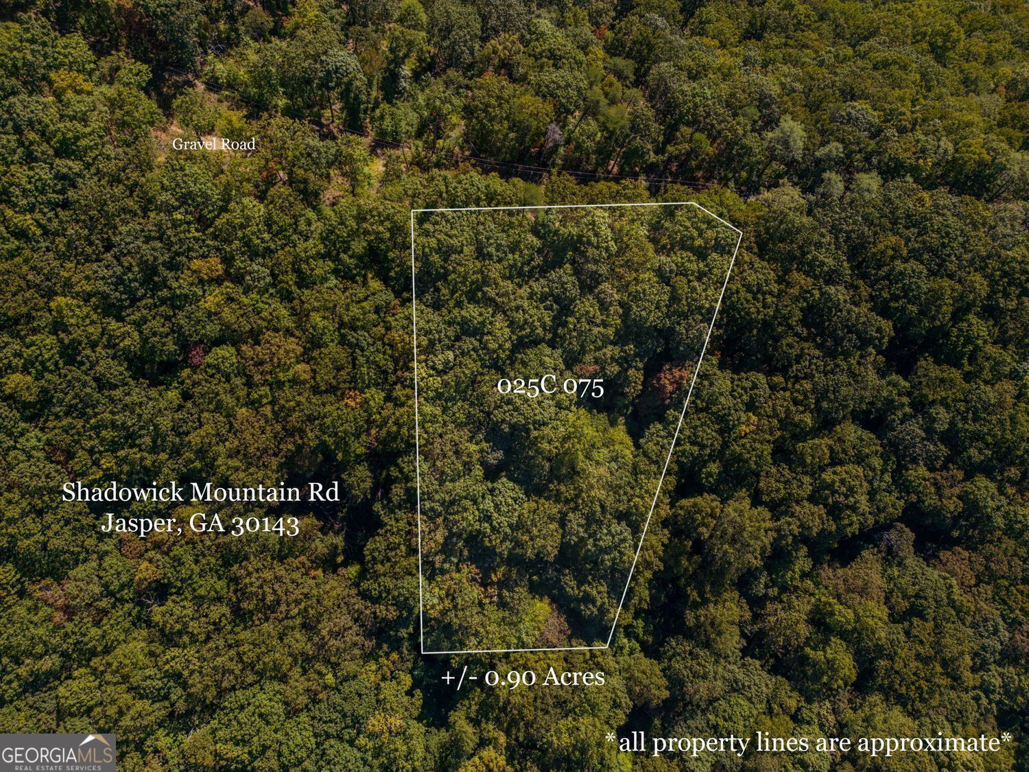 0 Shadowick Mountain Road Property Photo 1