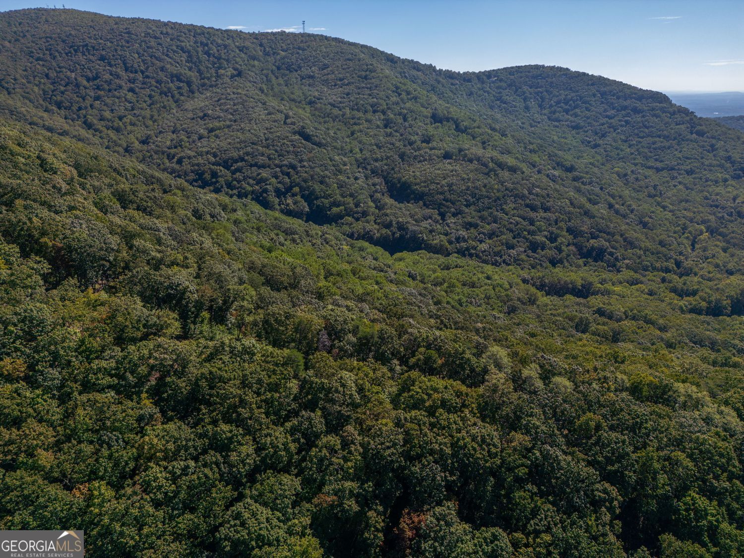 0 Shadowick Mountain Road Property Photo 5
