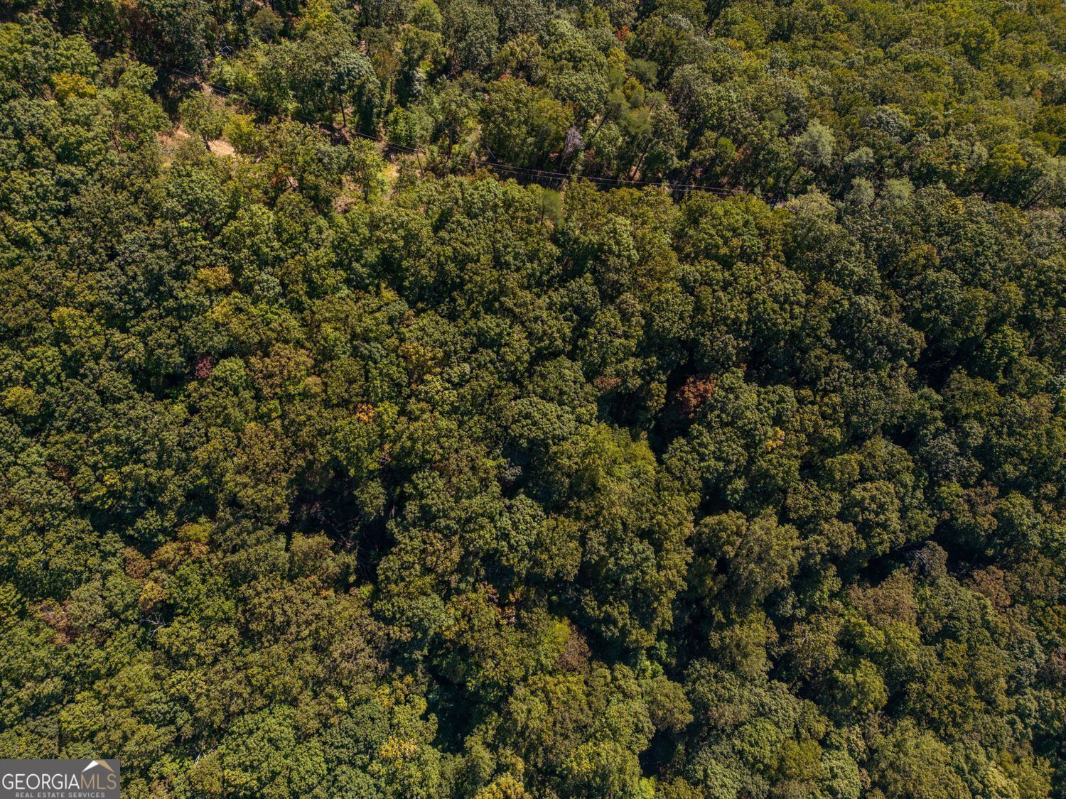 0 Shadowick Mountain Road Property Photo 7