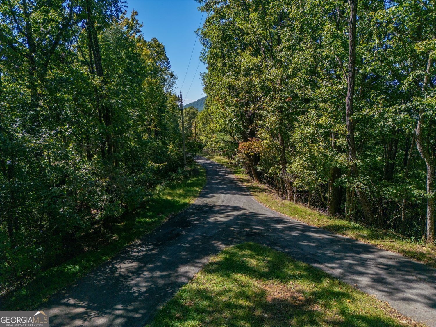 0 Shadowick Mountain Road Property Photo 10