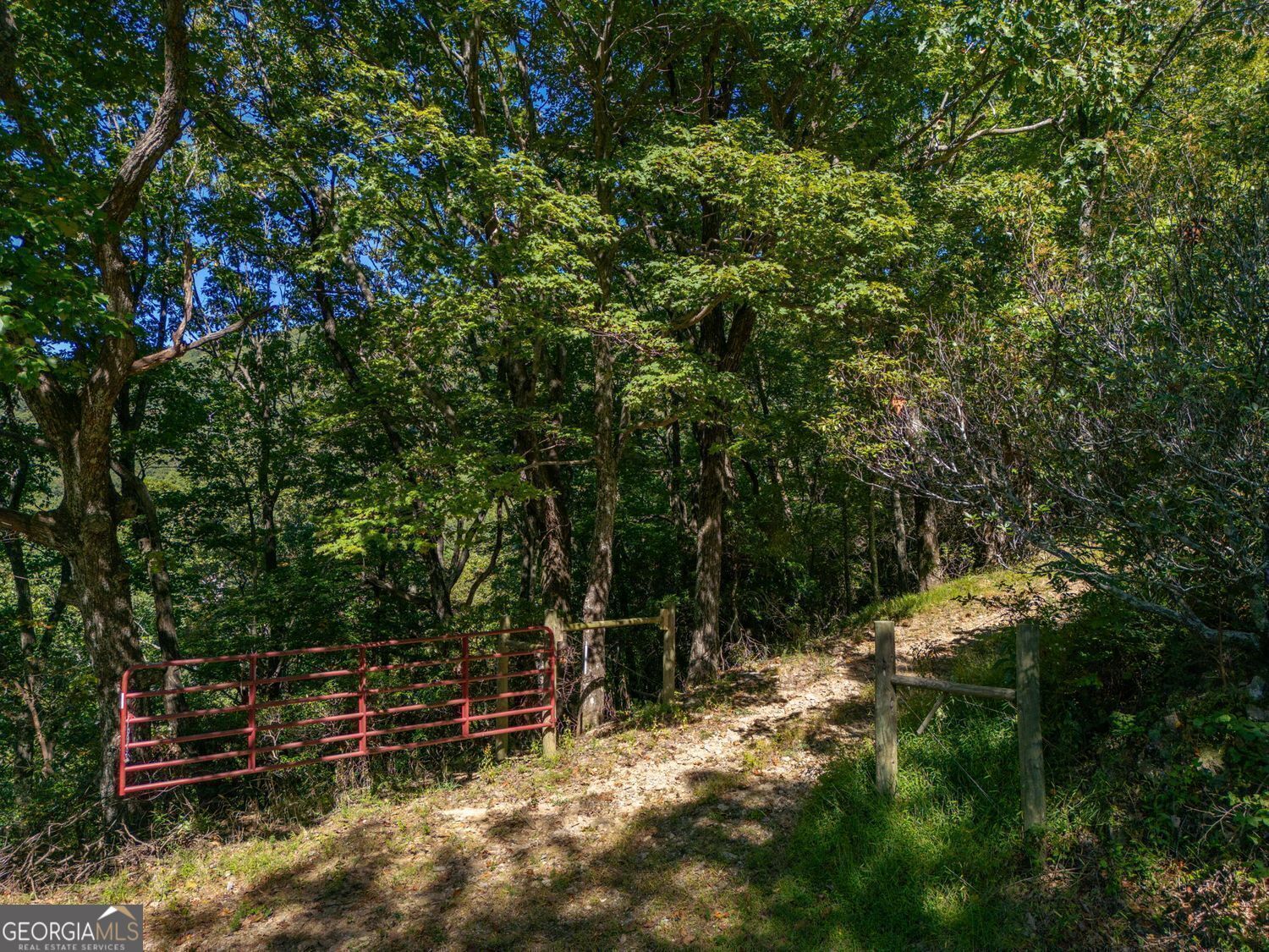 0 Shadowick Mountain Road Property Photo 11