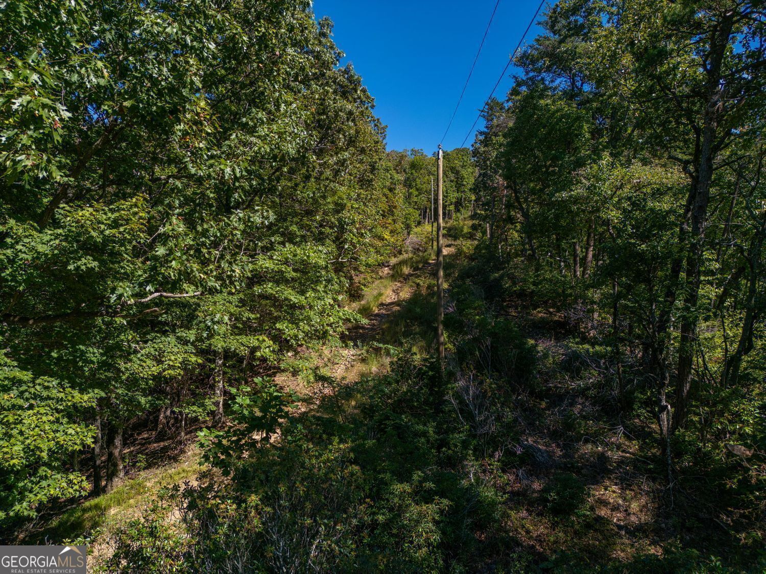 0 Shadowick Mountain Road Property Photo 12