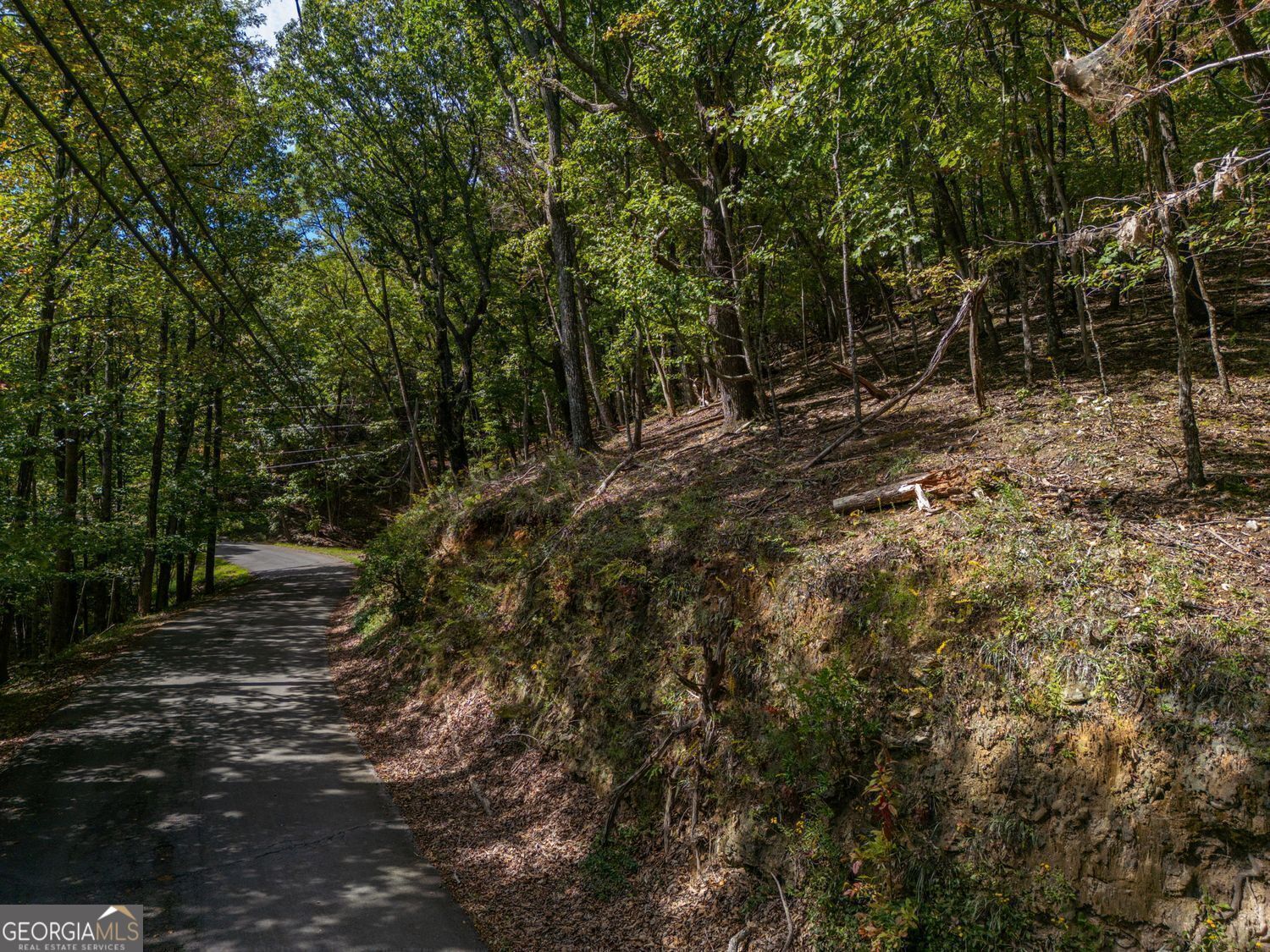 0 Denny Ridge Road Property Photo 2