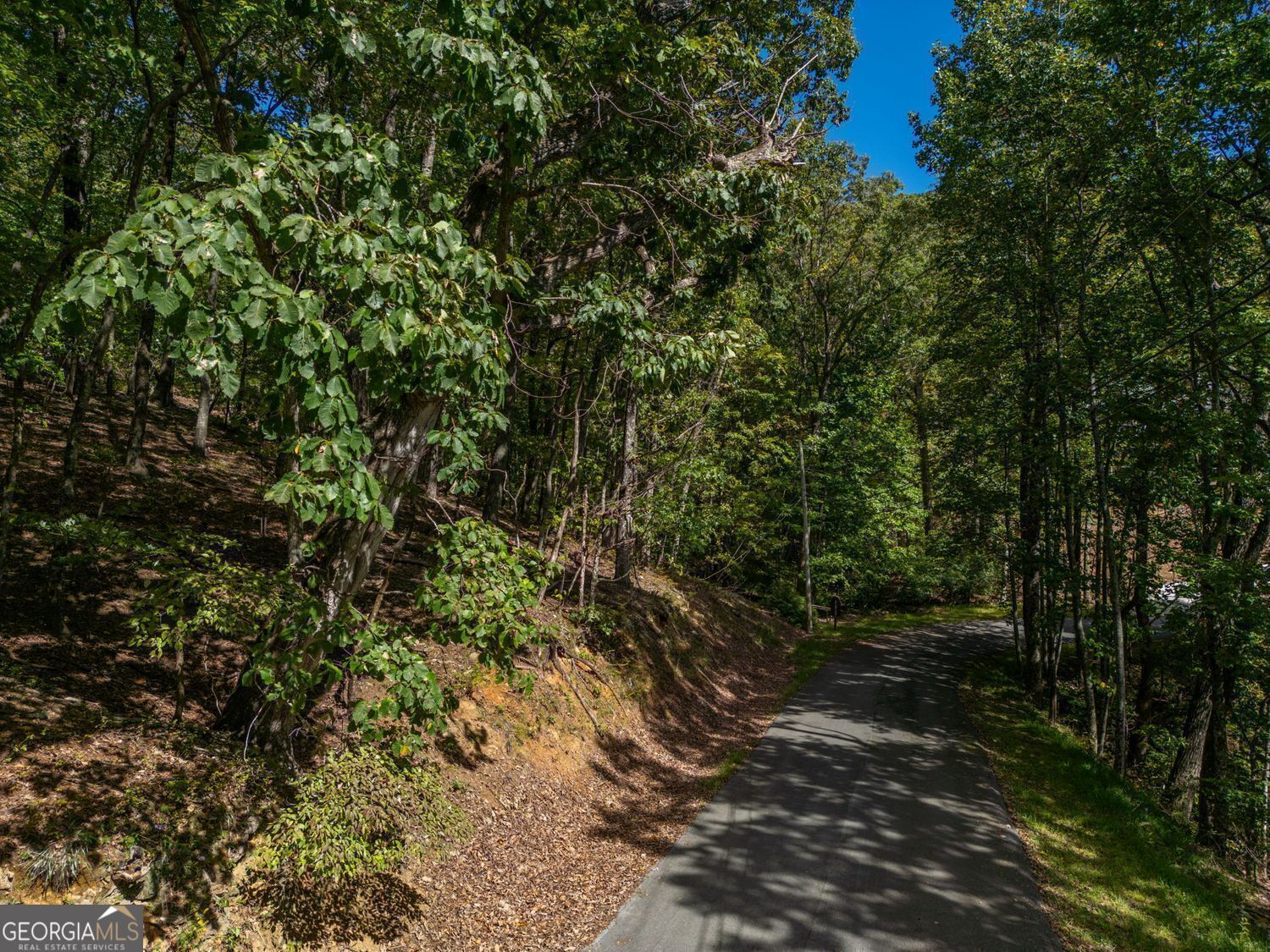 0 Denny Ridge Road Property Photo 3
