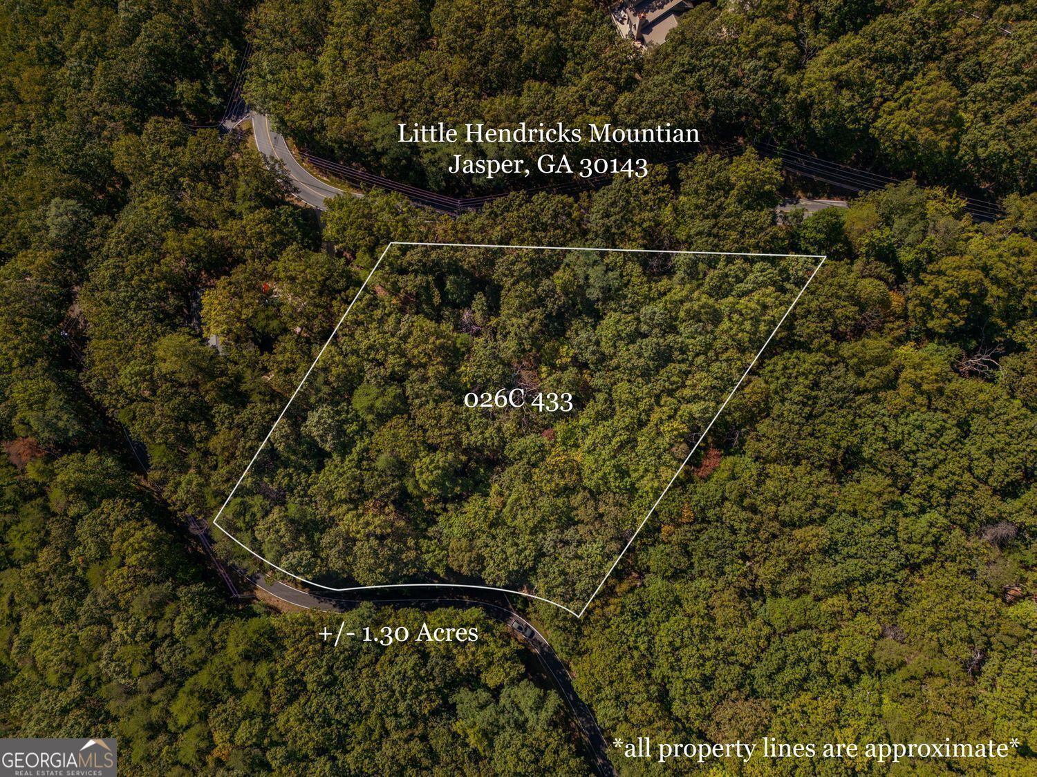 0 Little Hendricks Mountain Road Property Photo 1