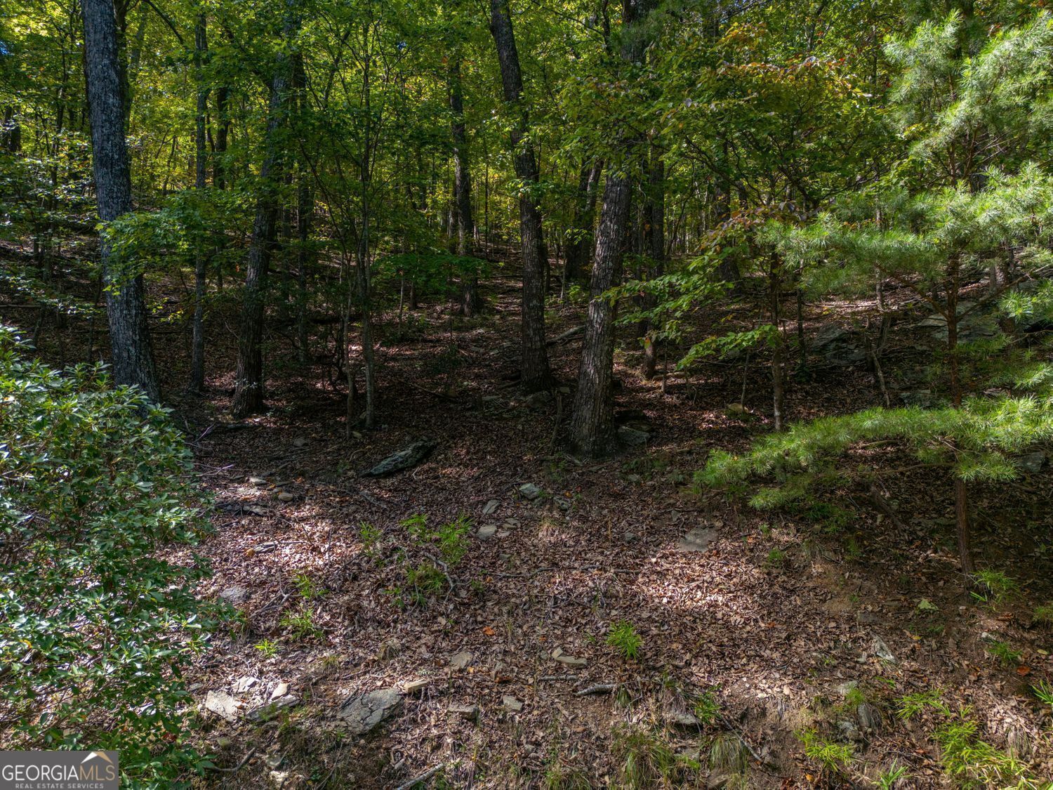 0 Little Hendricks Mountain Road Property Photo 2