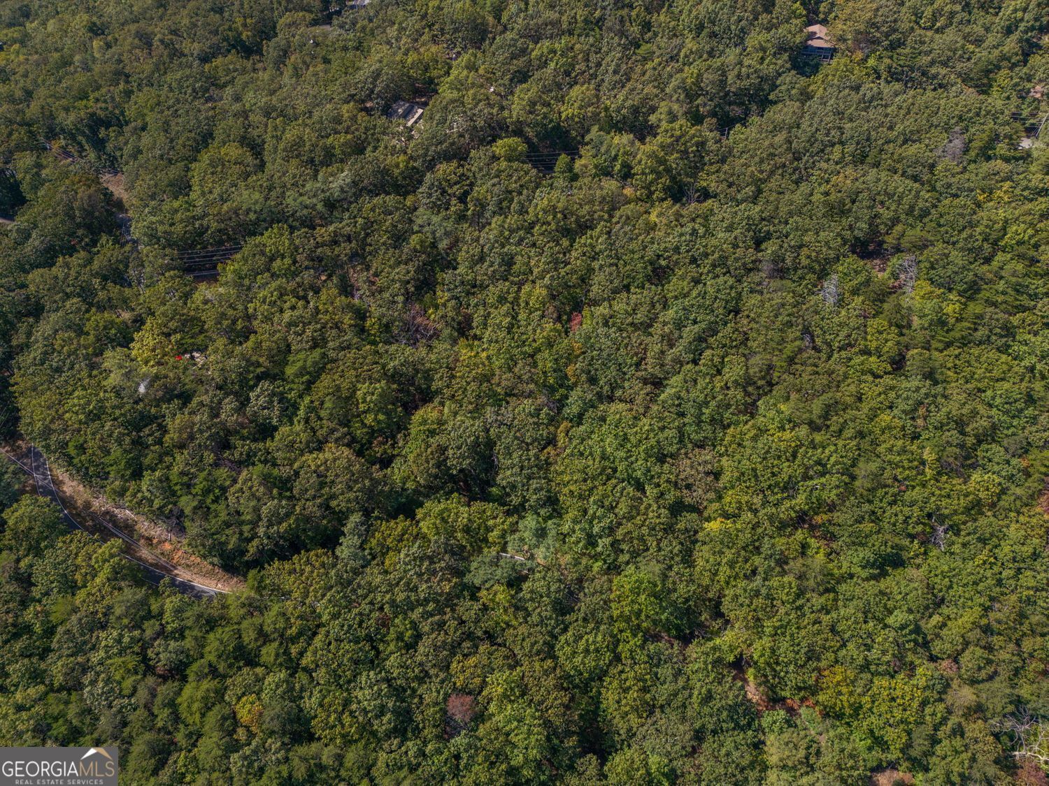 0 Little Hendricks Mountain Road Property Photo 4