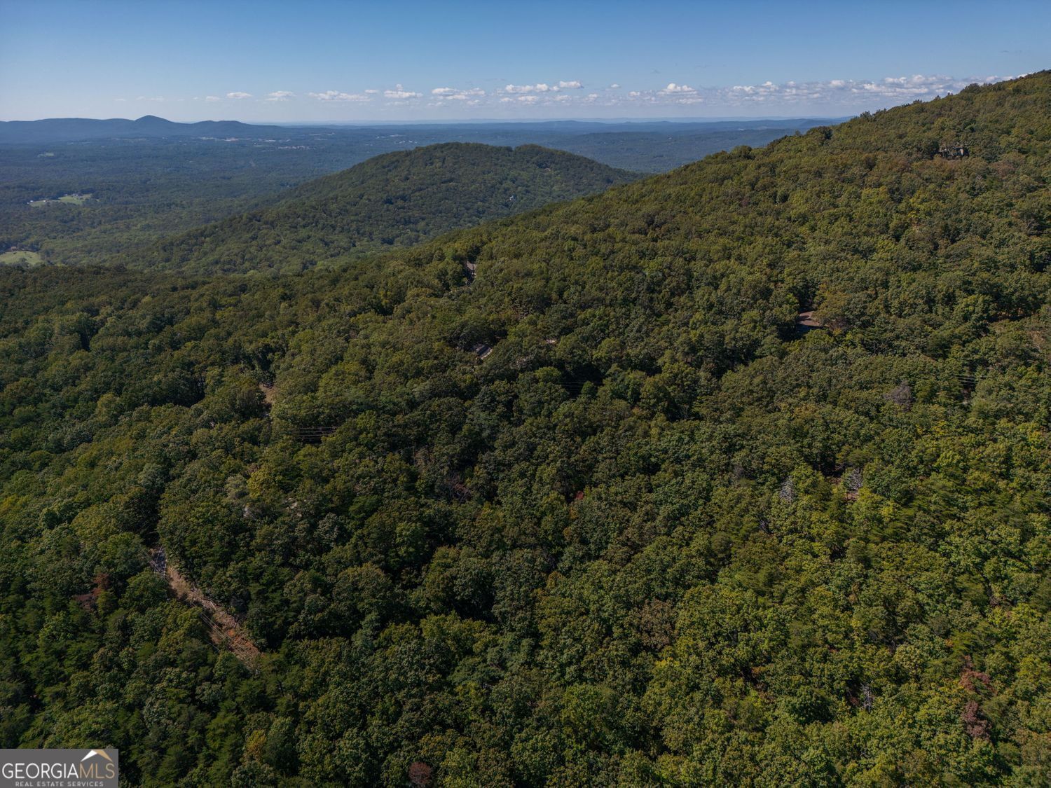 0 Little Hendricks Mountain Road Property Photo 5