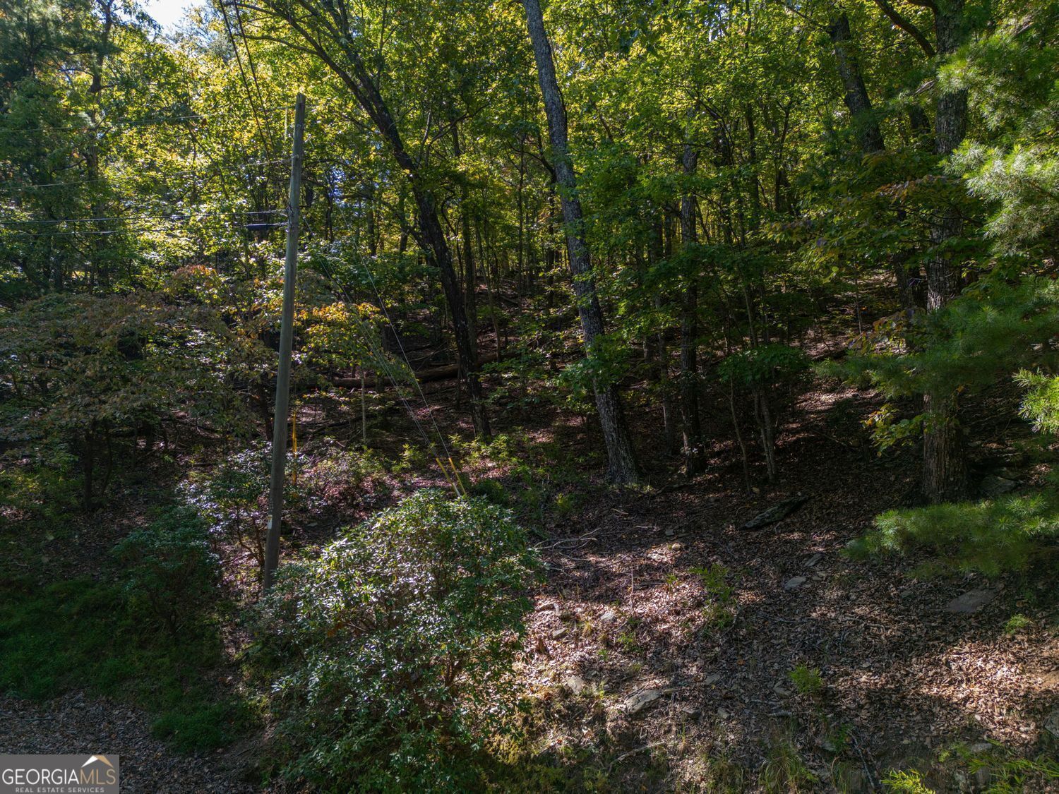 0 Little Hendricks Mountain Road Property Photo 10