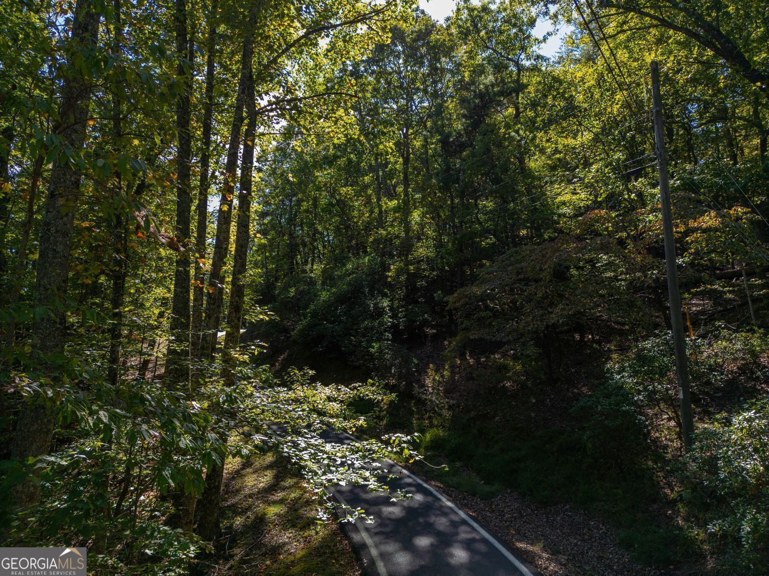 0 Little Hendricks Mountain Road Property Photo 11