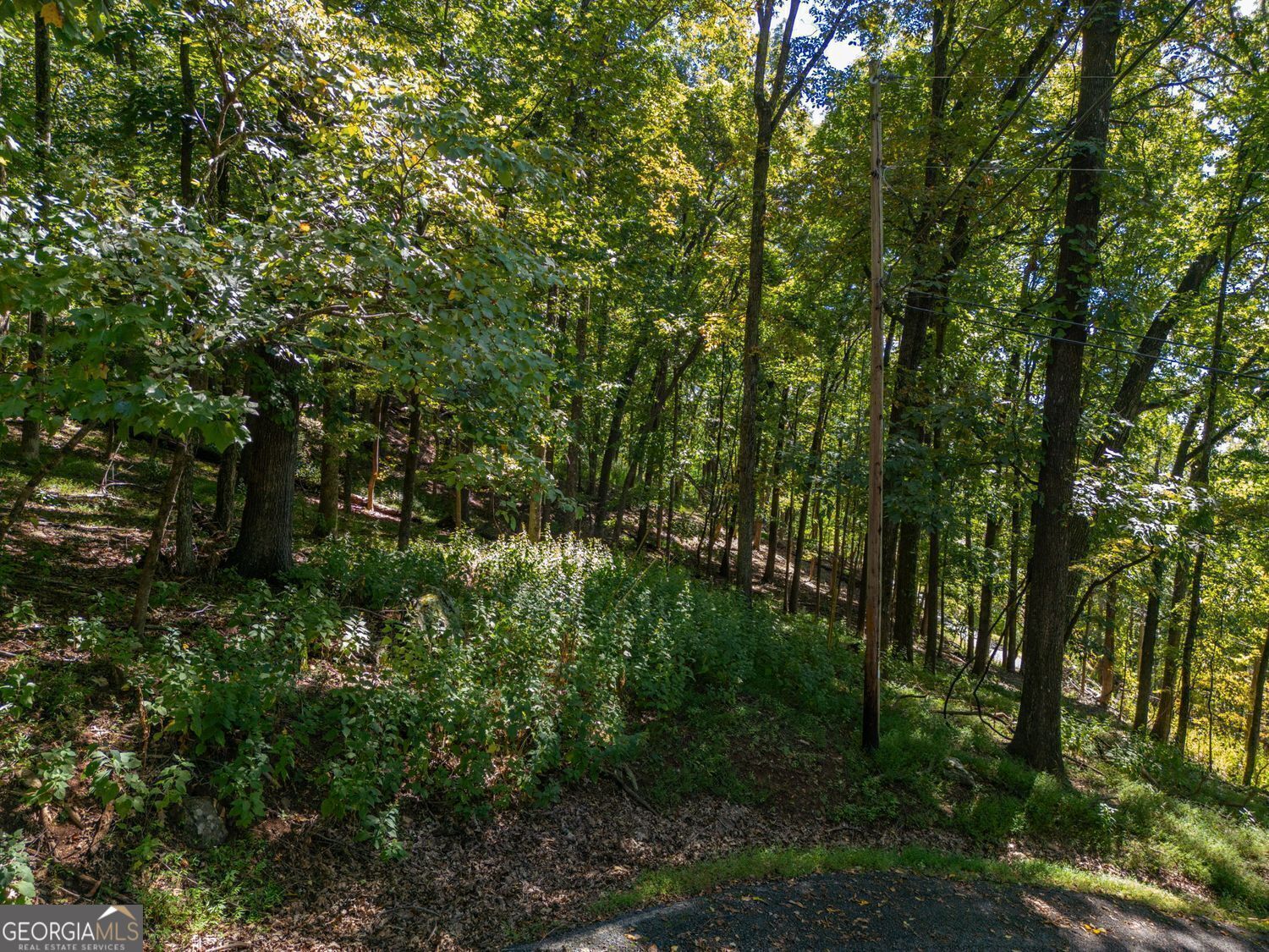 0 Valley View Vista Property Photo 2