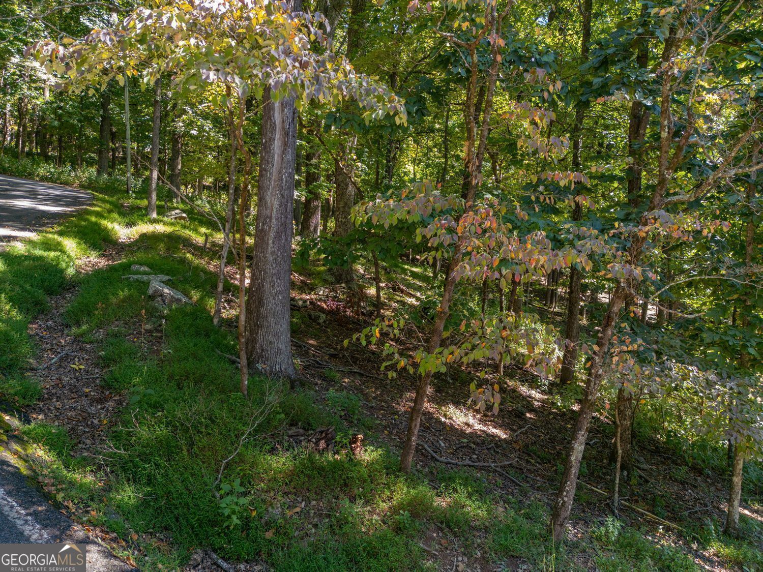 0 Valley View Vista Property Photo 4