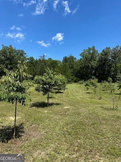 4747 Donnan Road Property Photo 9