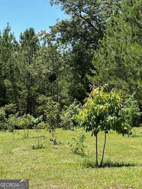 4747 Donnan Road Property Photo 49