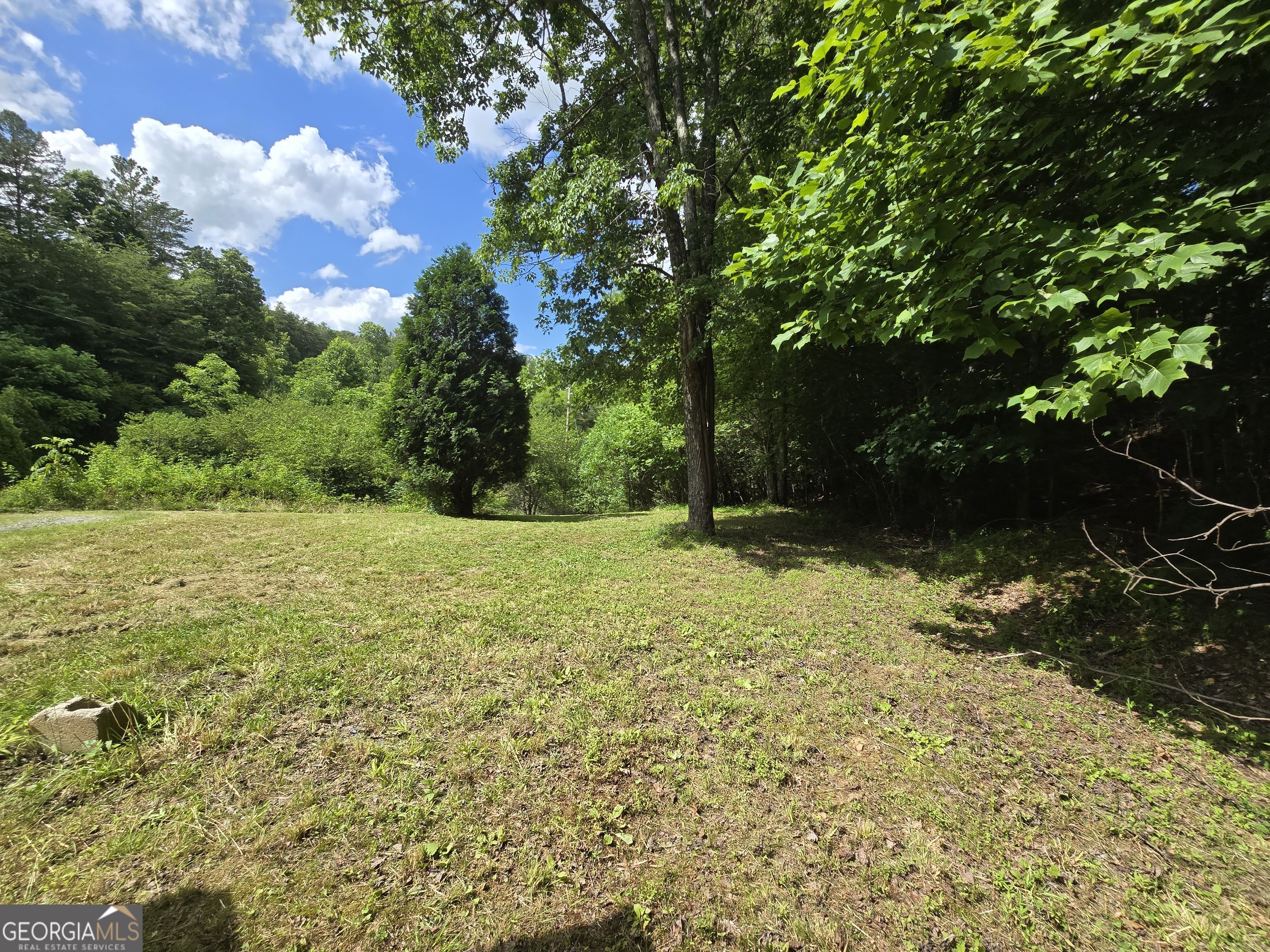 0 Blue Arrow Lane Property Photo 2