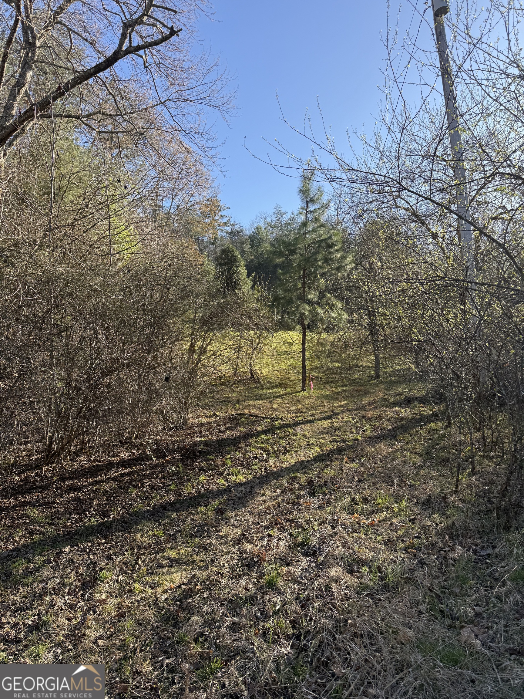 0 Blue Arrow Lane Property Photo 16