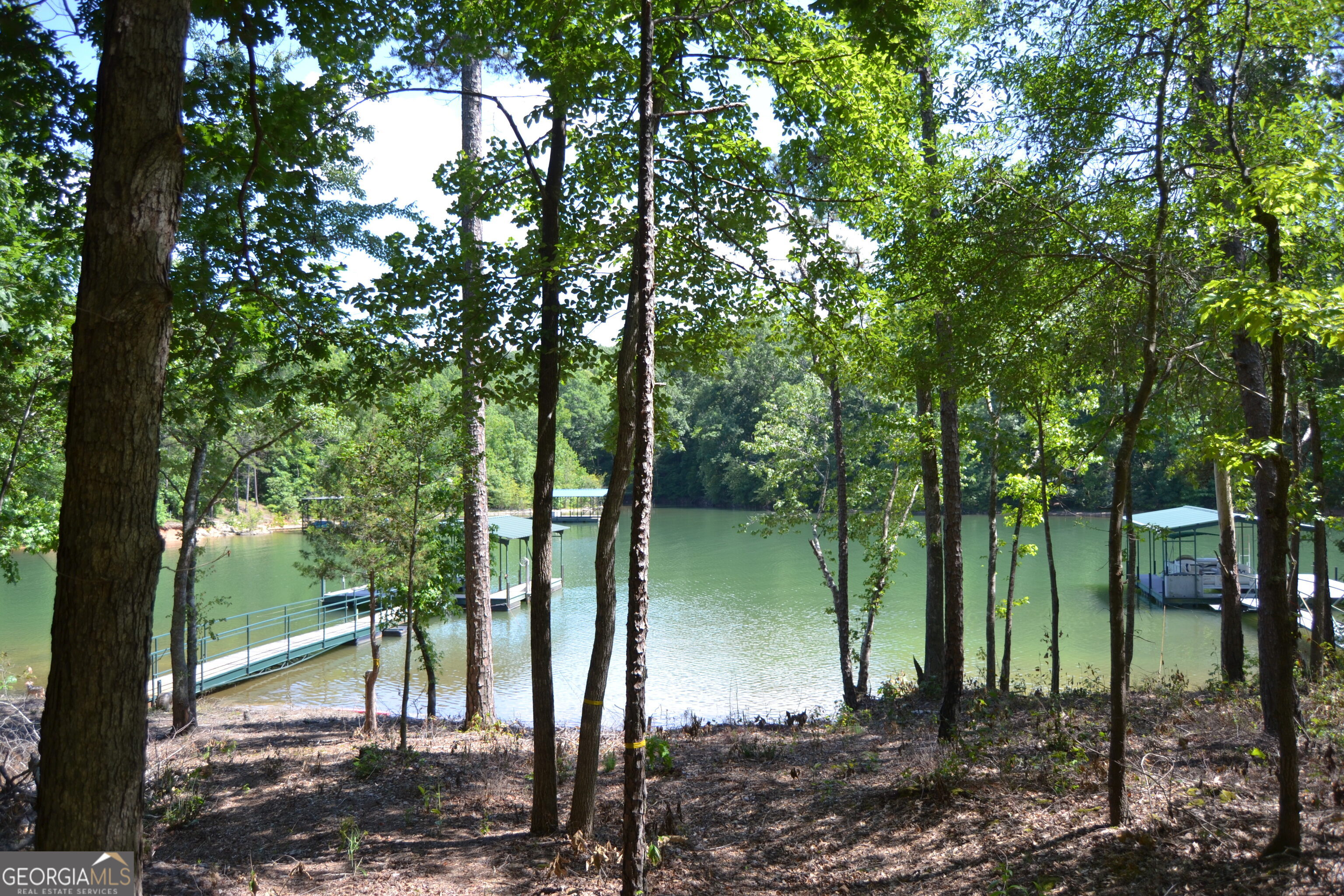 913 Paynes Creek Road Lot 11 Property Photo 1