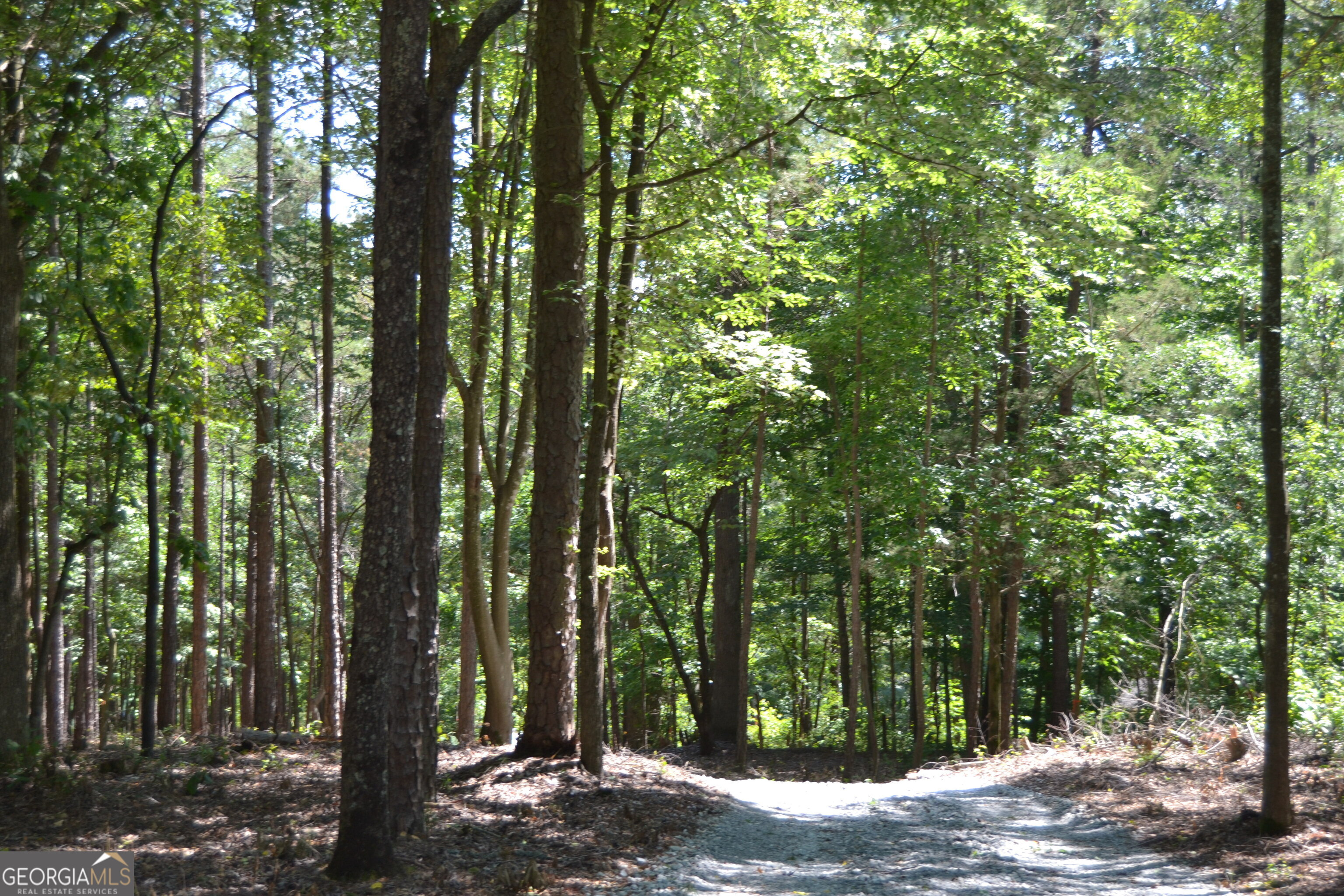 913 Paynes Creek Road Lot 11 Property Photo 7