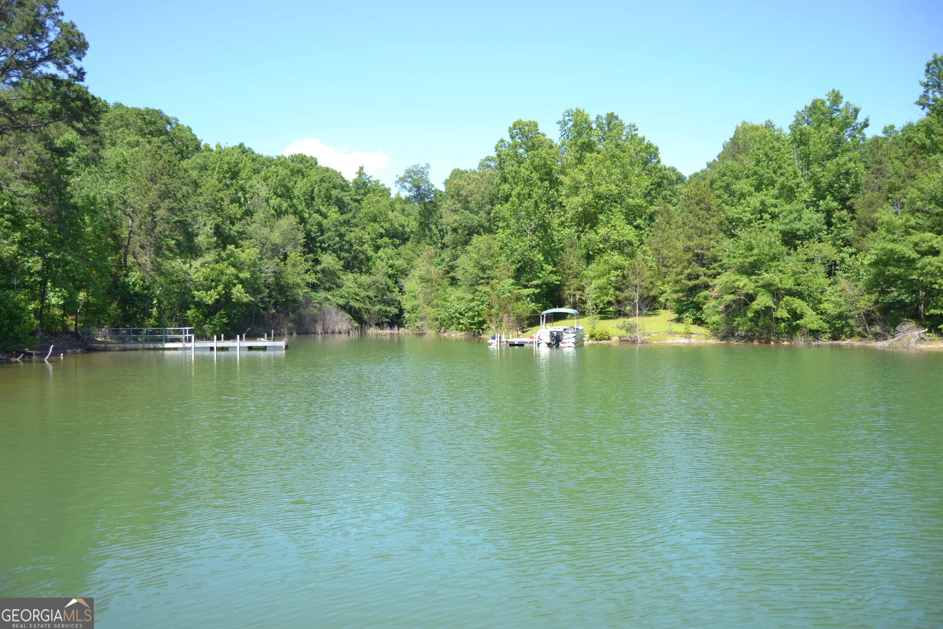 913 Paynes Creek Road Lot 11 Property Photo 9
