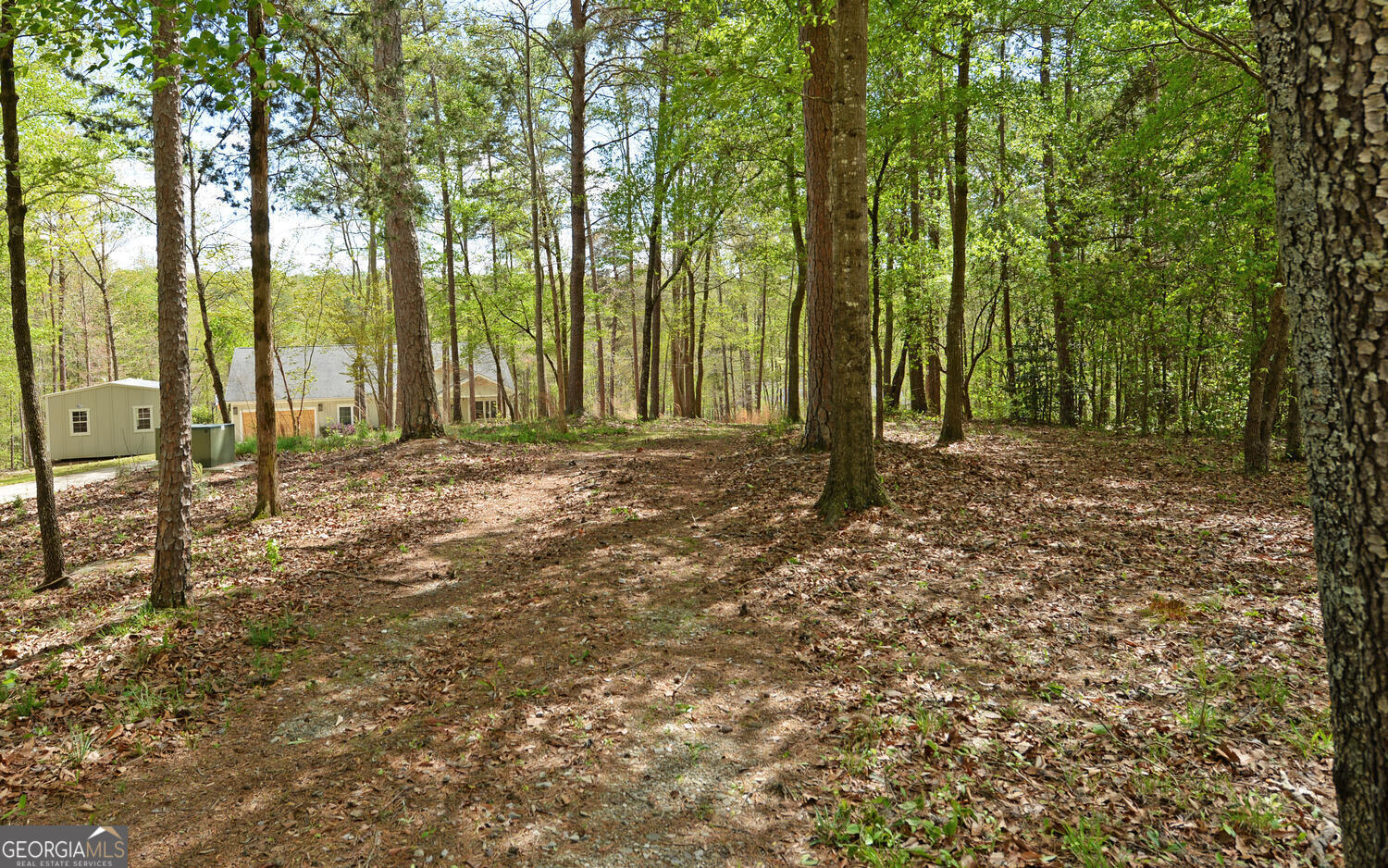 913 Paynes Creek Road Lot 11 Property Photo 12