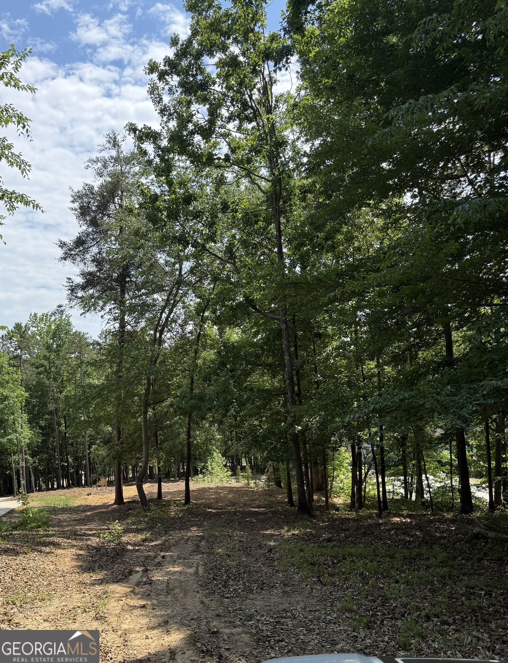 913 Paynes Creek Road Lot 11 Property Photo 15