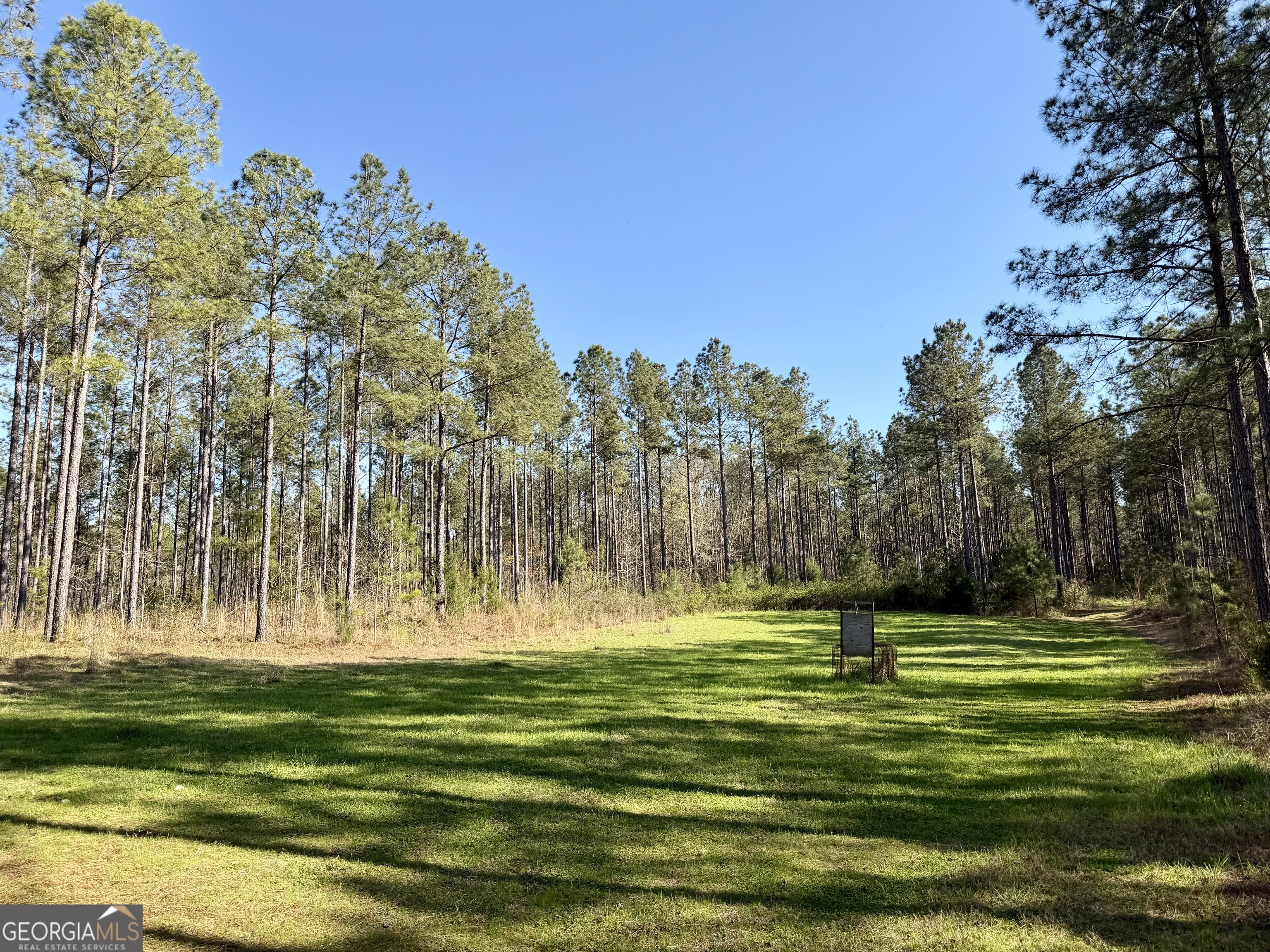 0 Highway 28 Property Photo 3