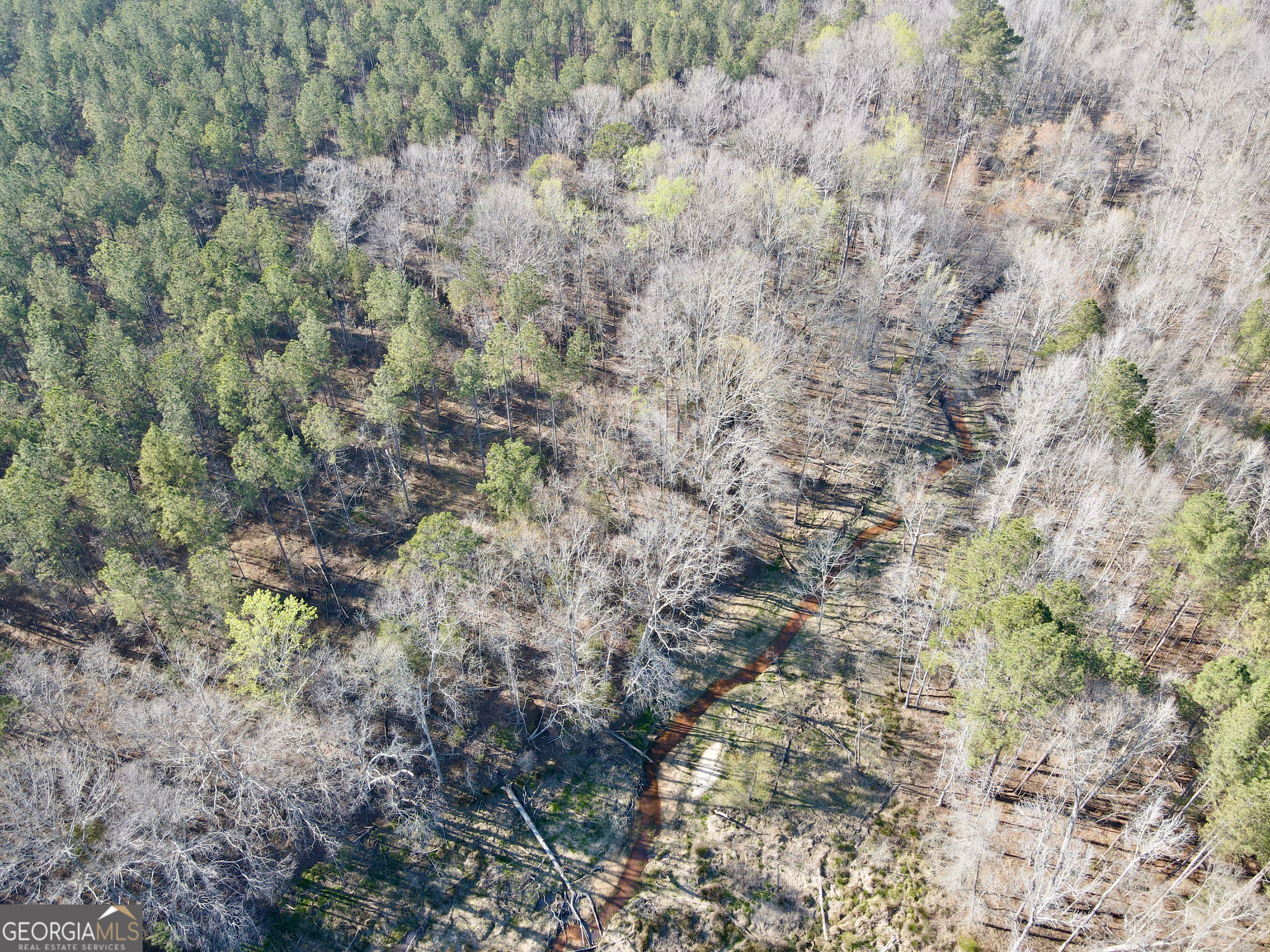 0 Highway 28 Property Photo 5