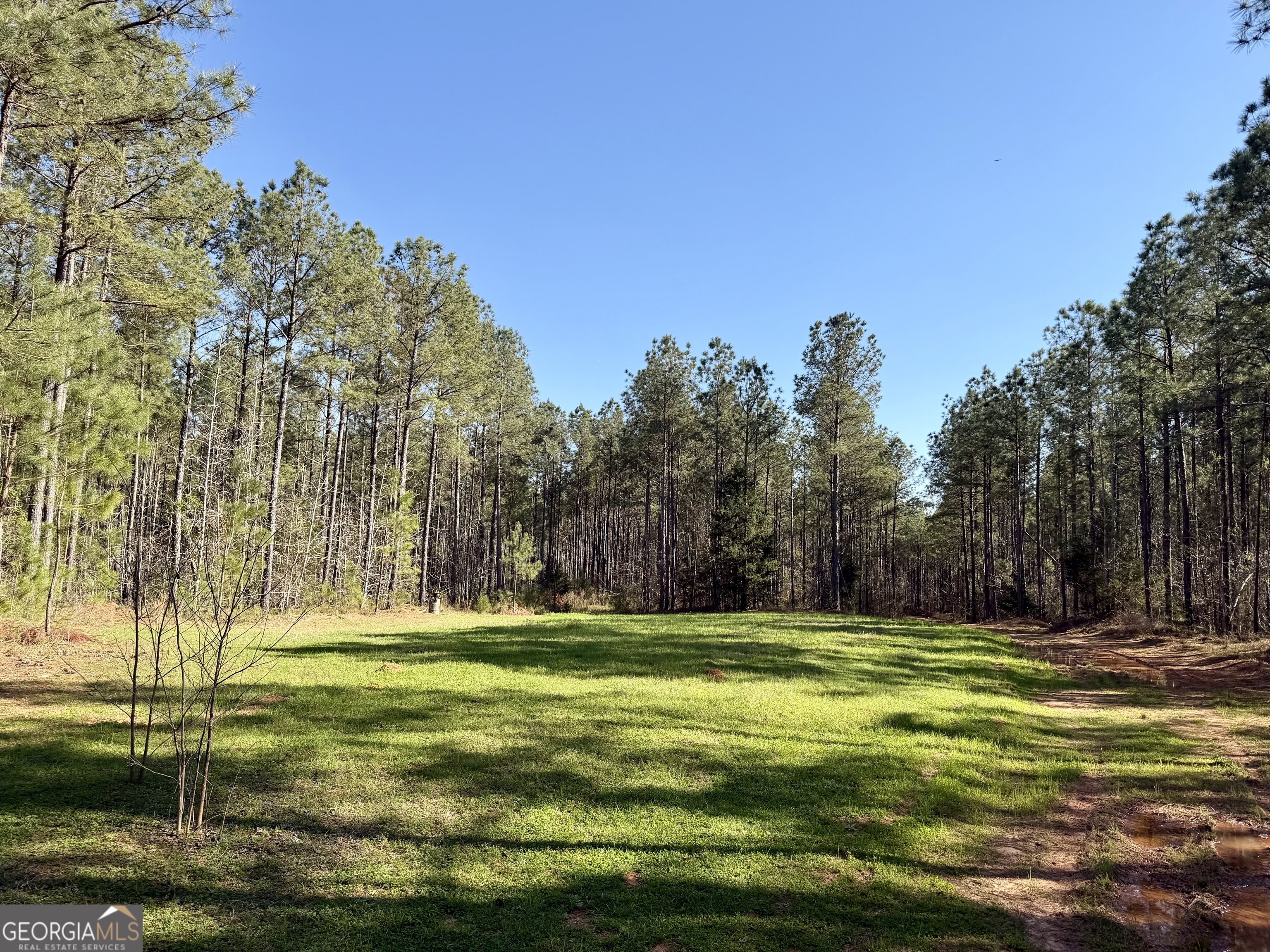 0 Highway 28 Property Photo 6