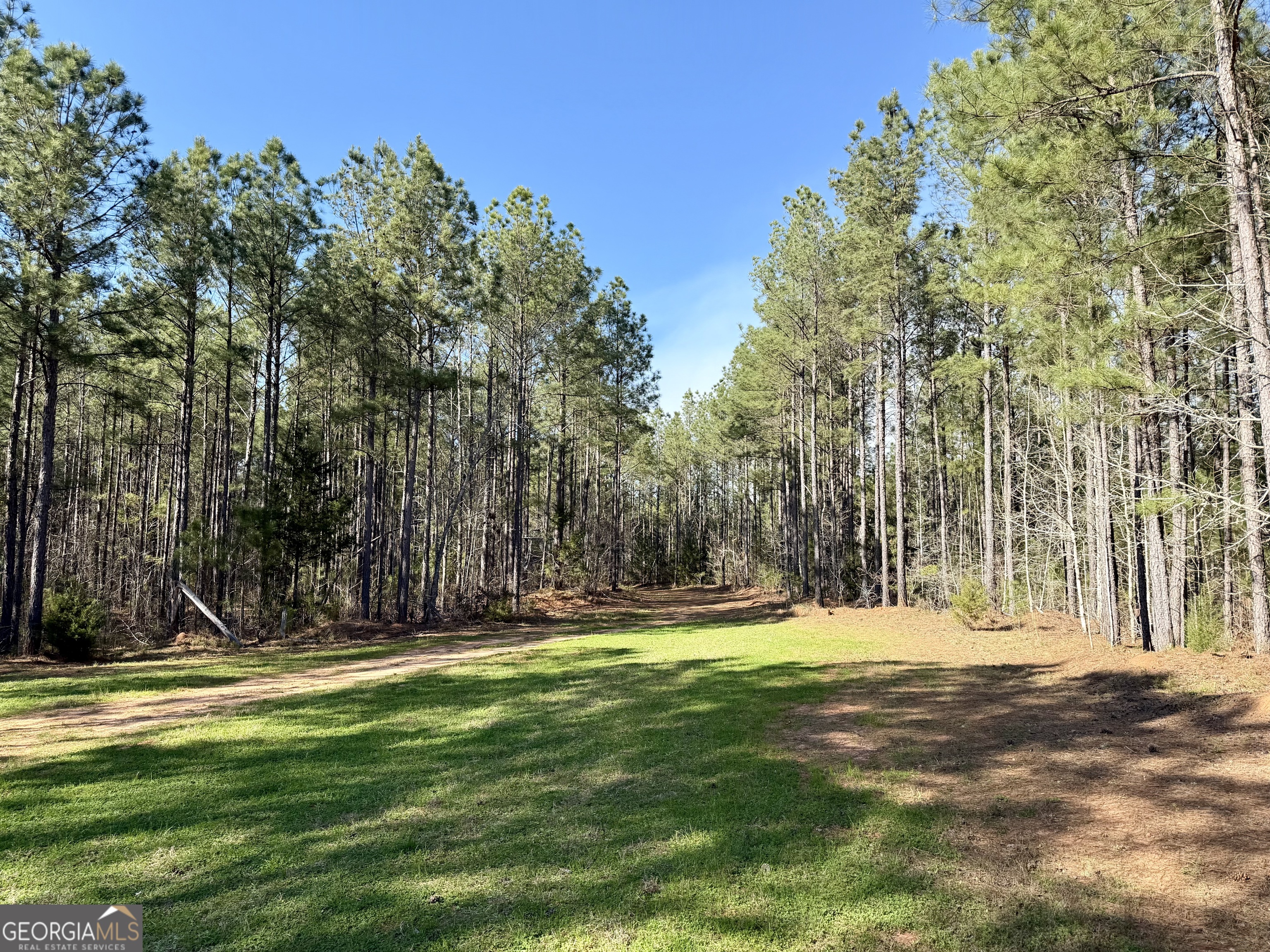 0 Highway 28 Property Photo 7