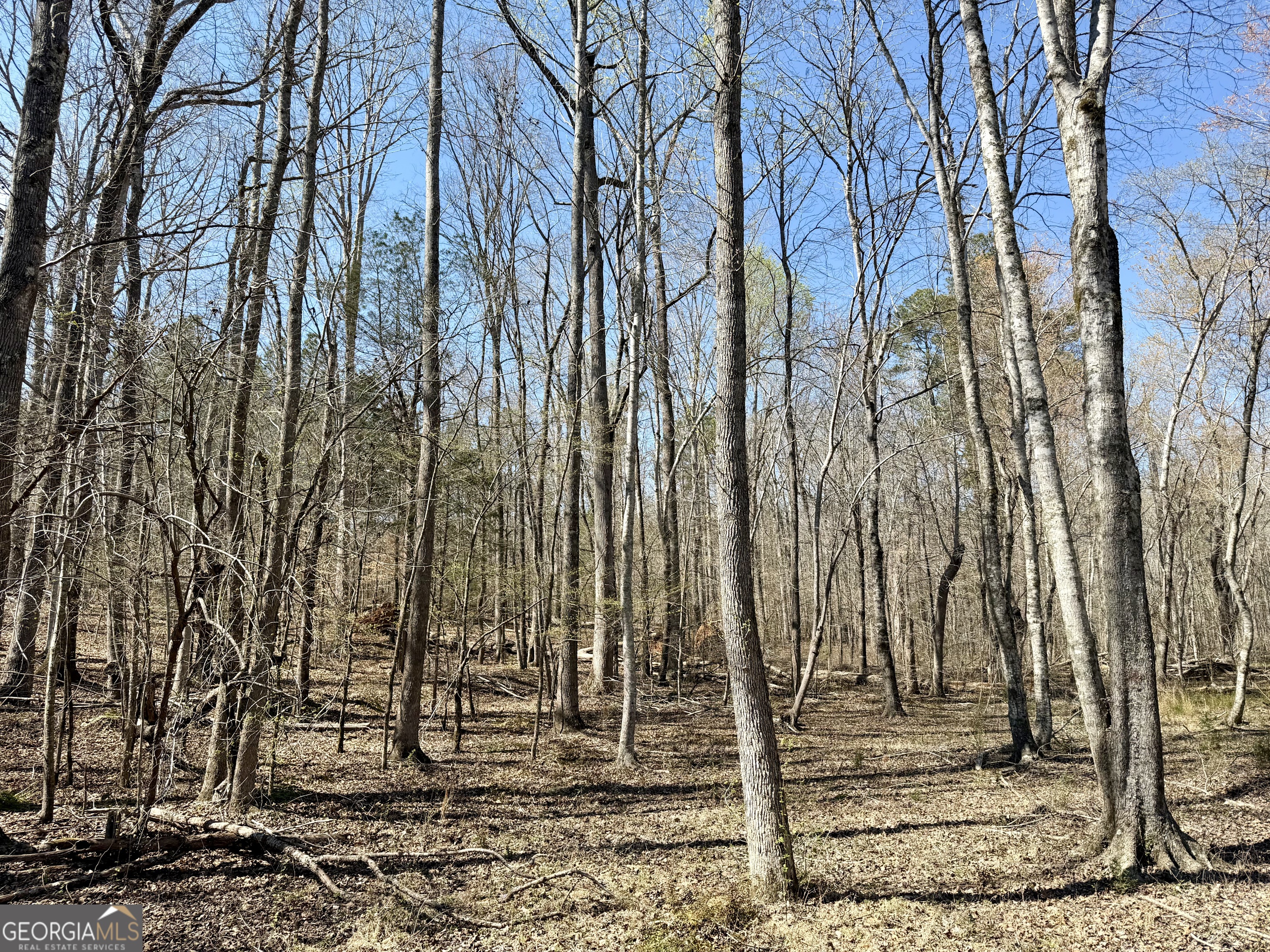 0 Highway 28 Property Photo 10