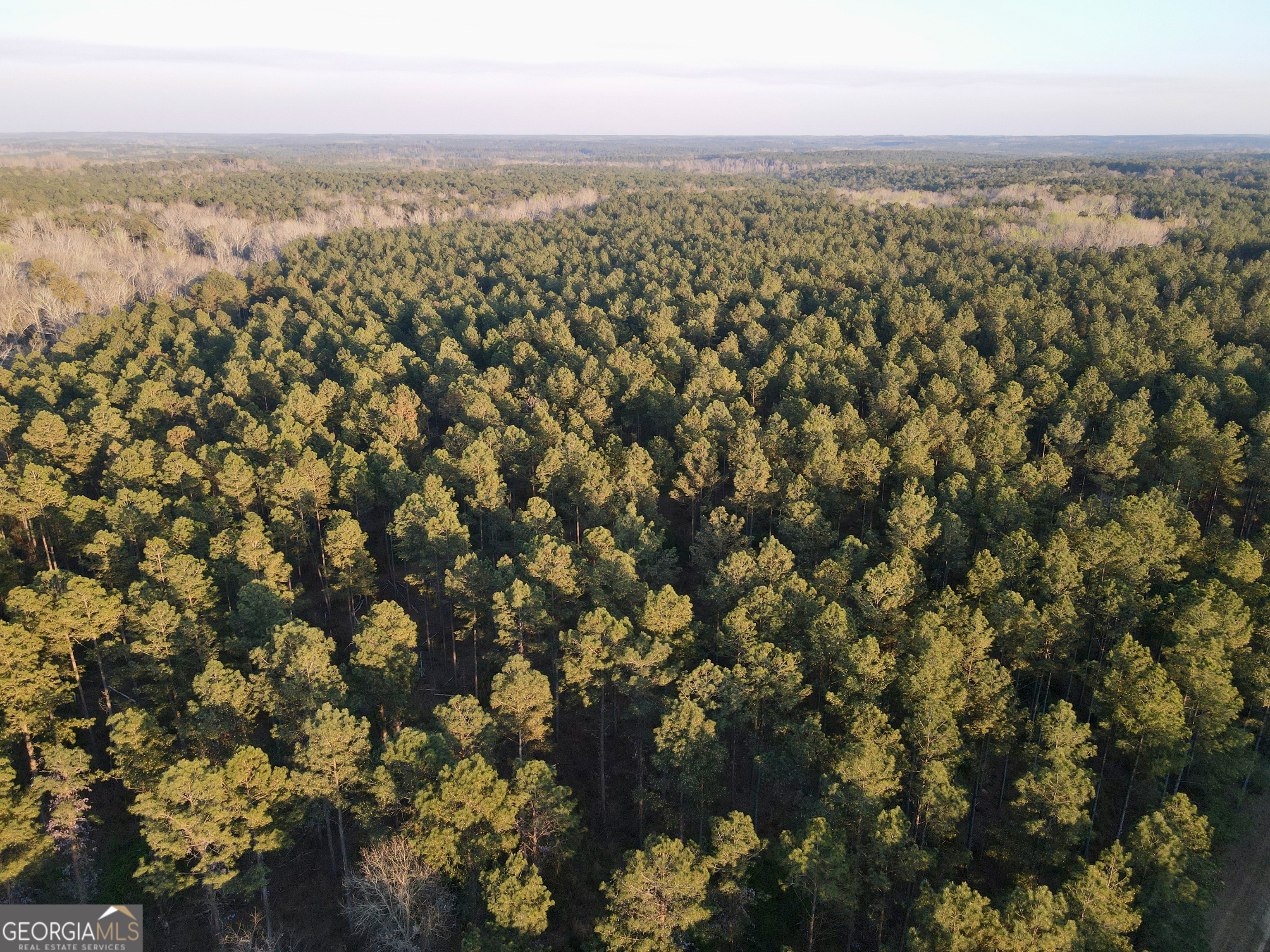 0 Highway 28 Property Photo 11