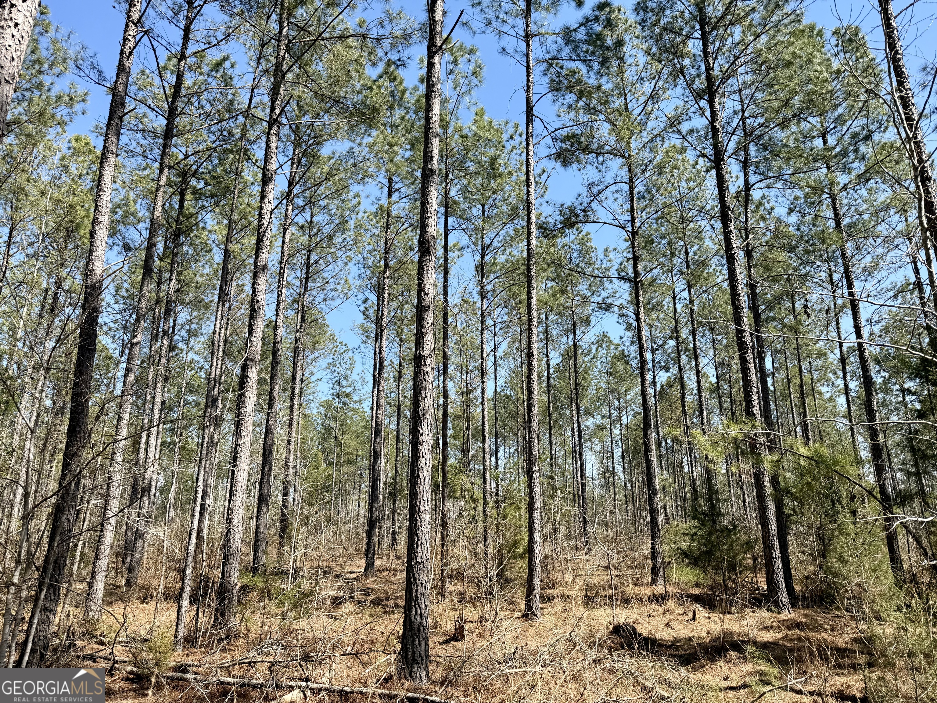 0 Highway 28 Property Photo 12
