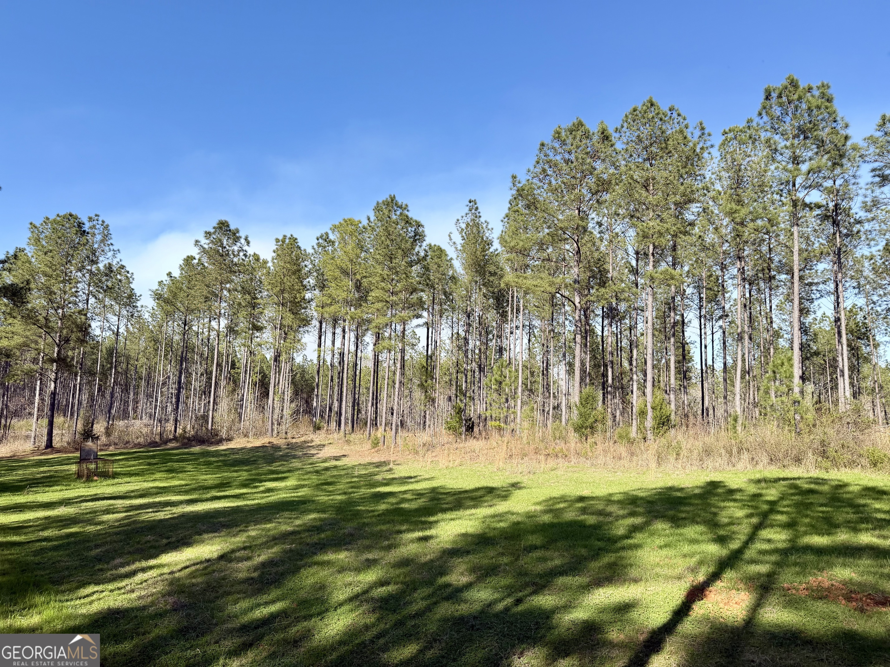 0 Highway 28 Property Photo 13