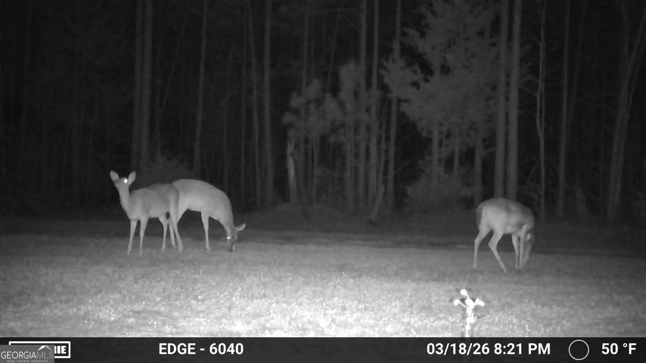 0 Highway 28 Property Photo 16