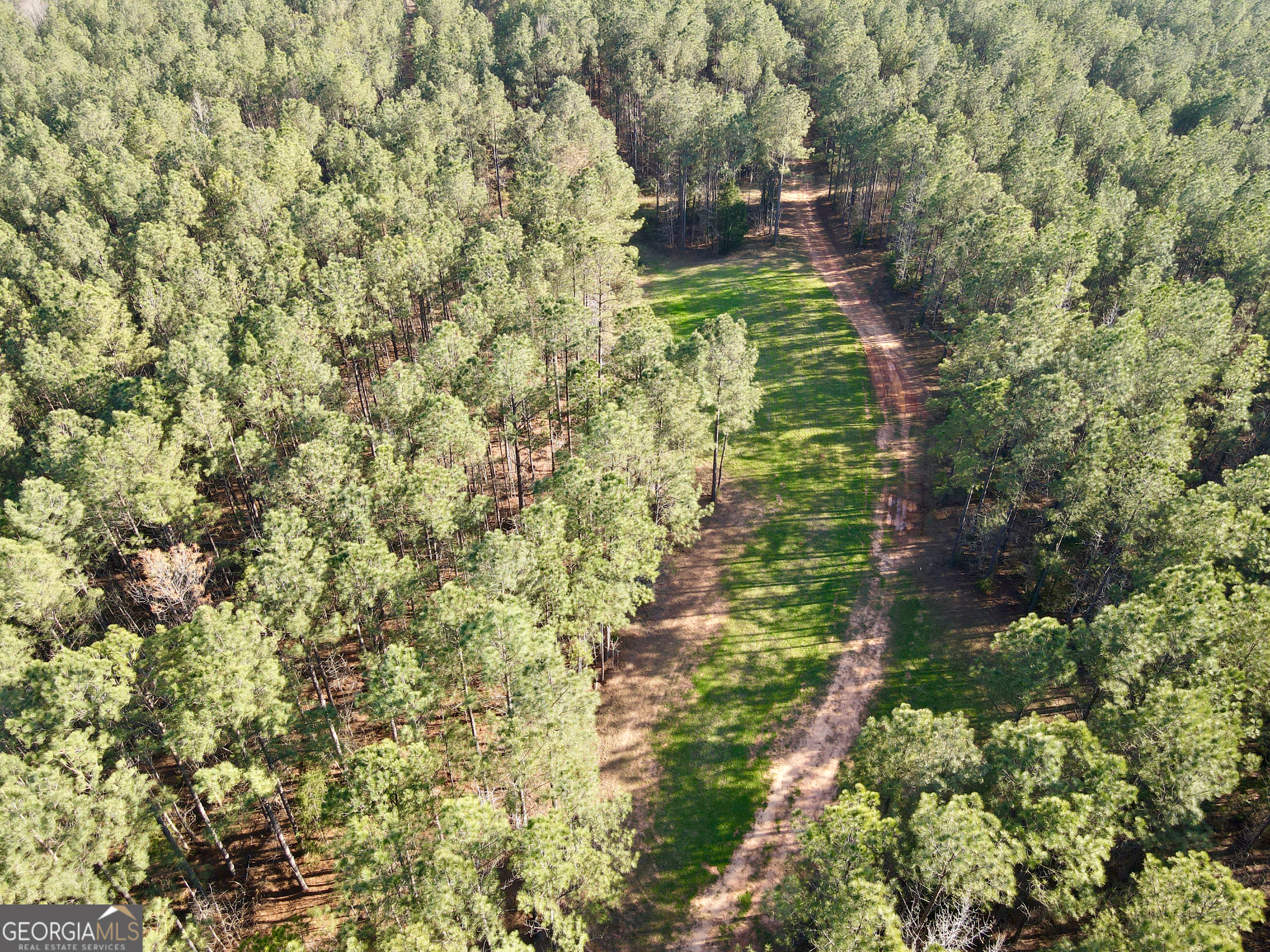 0 Highway 28 Property Photo 19