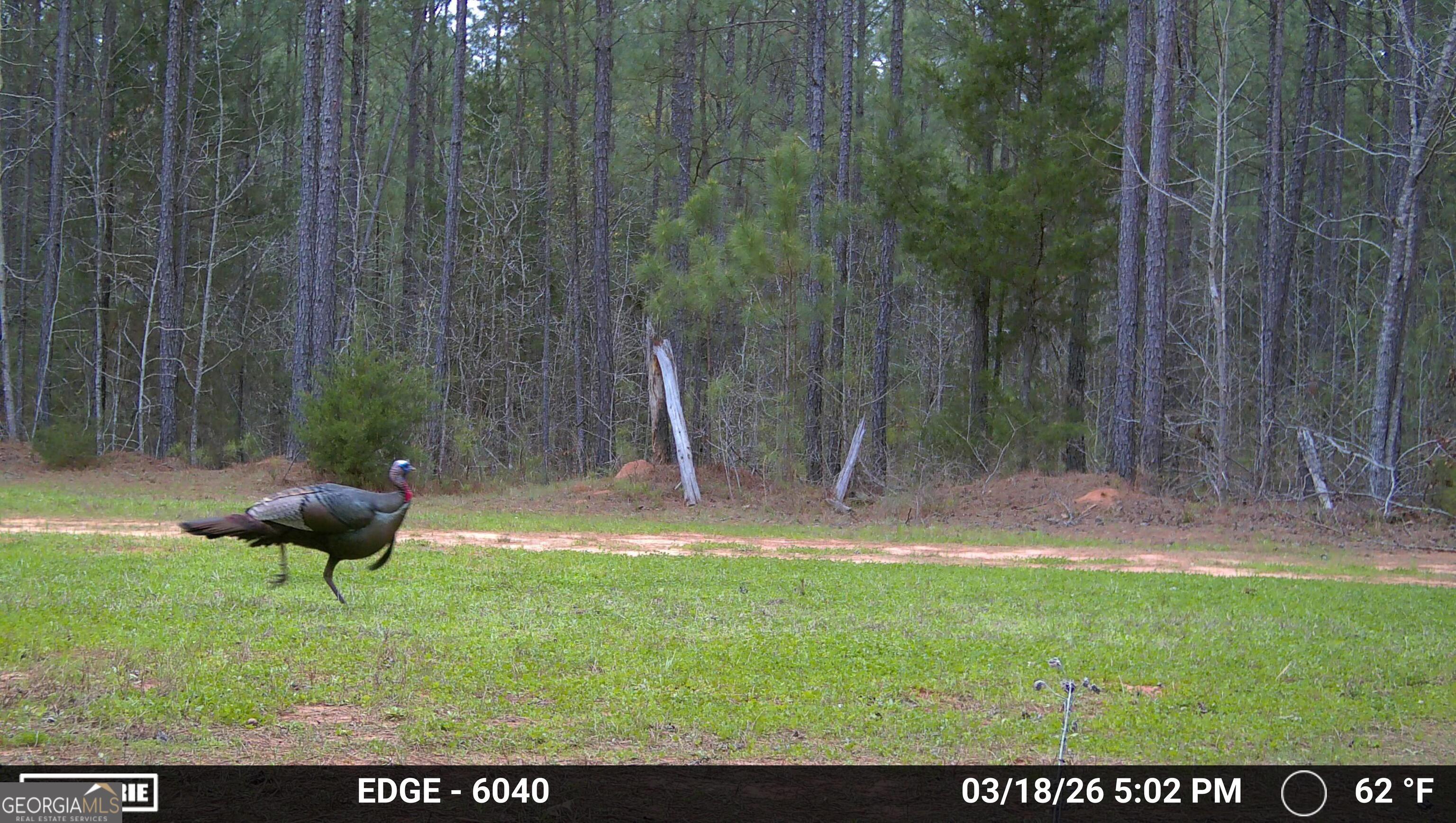 0 Highway 28 Property Photo 20