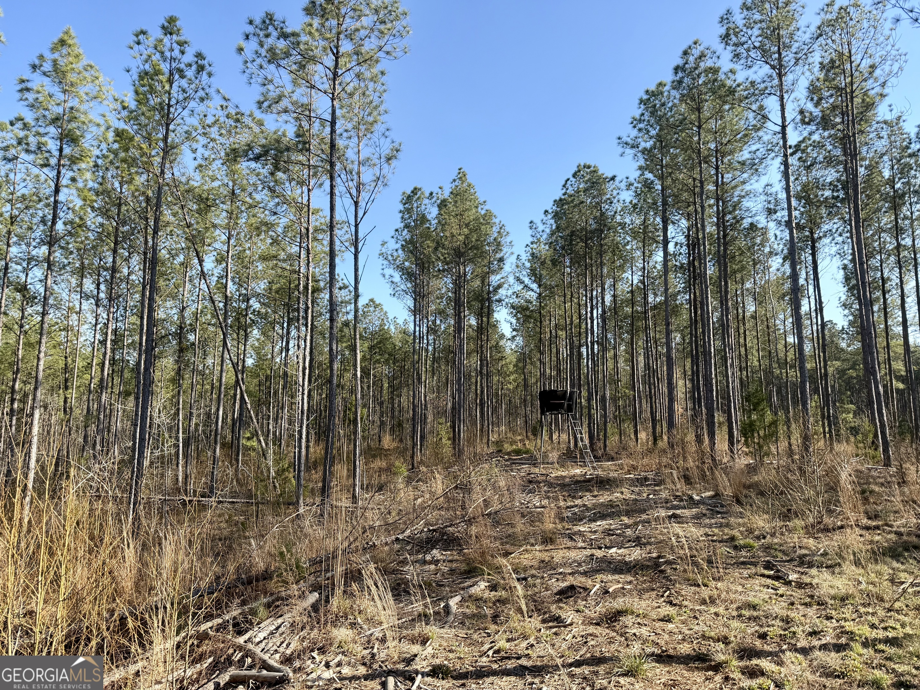 0 Highway 28 Property Photo 21