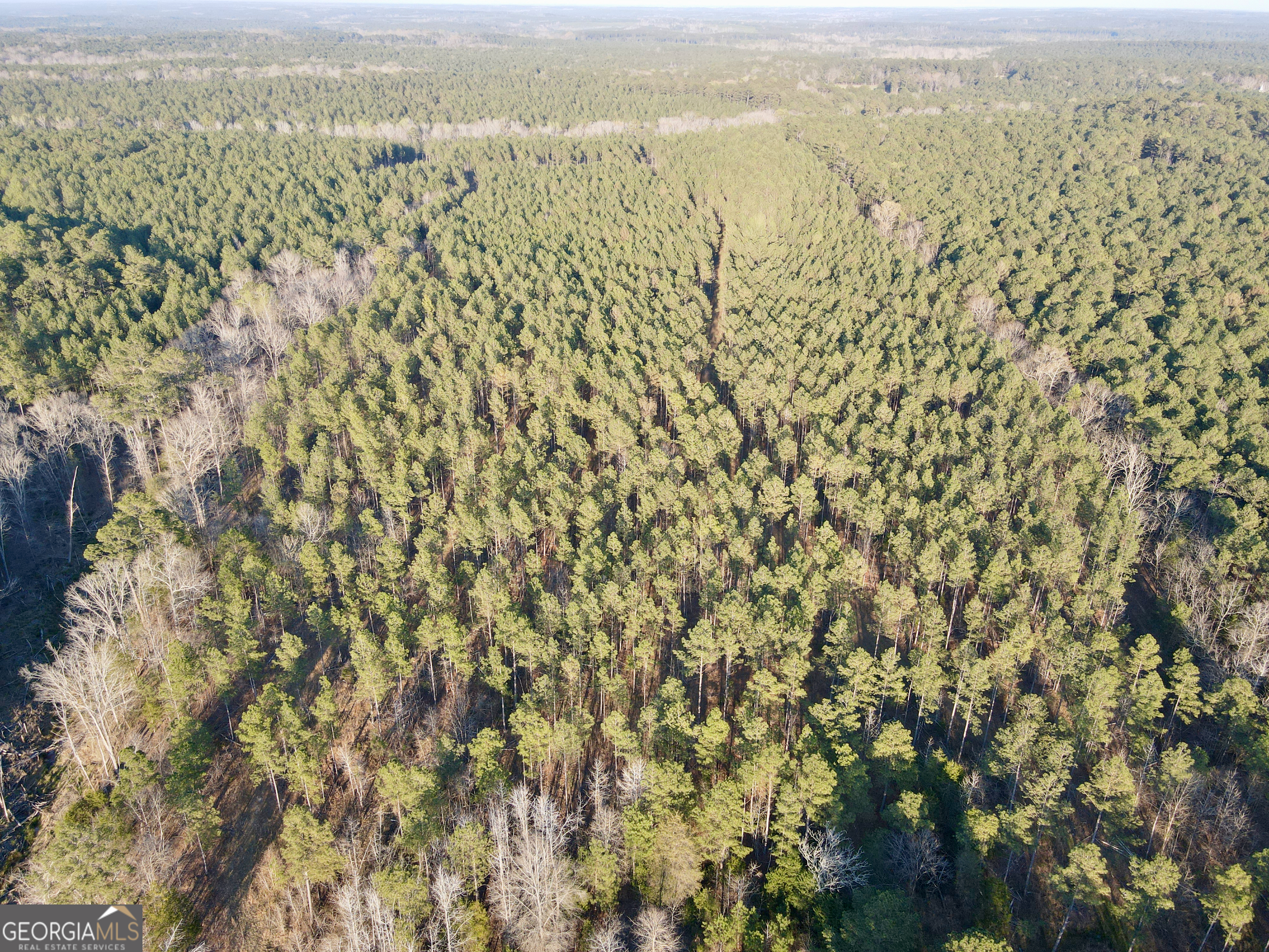 0 Highway 28 Property Photo 22