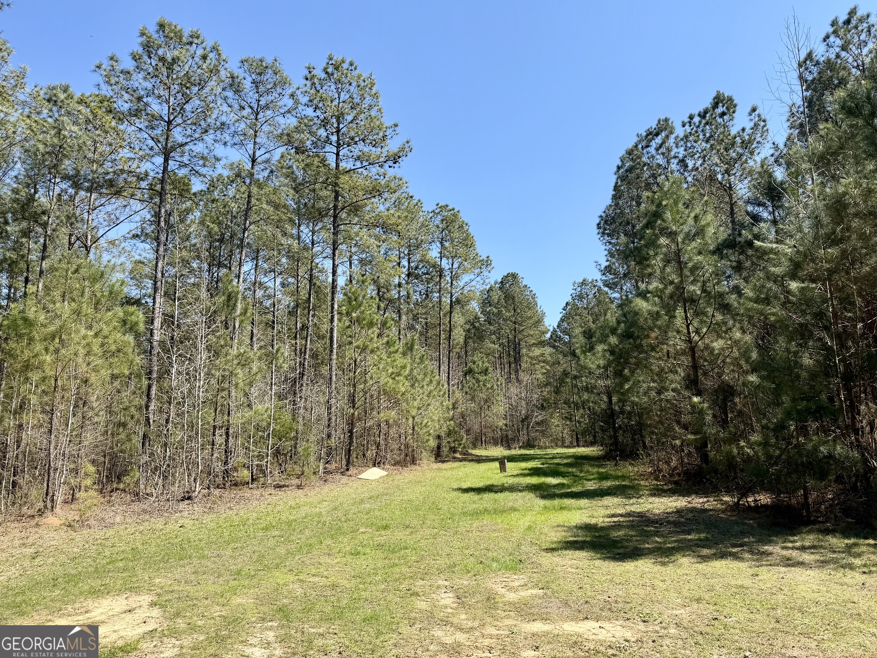 0 Highway 28 Property Photo 23