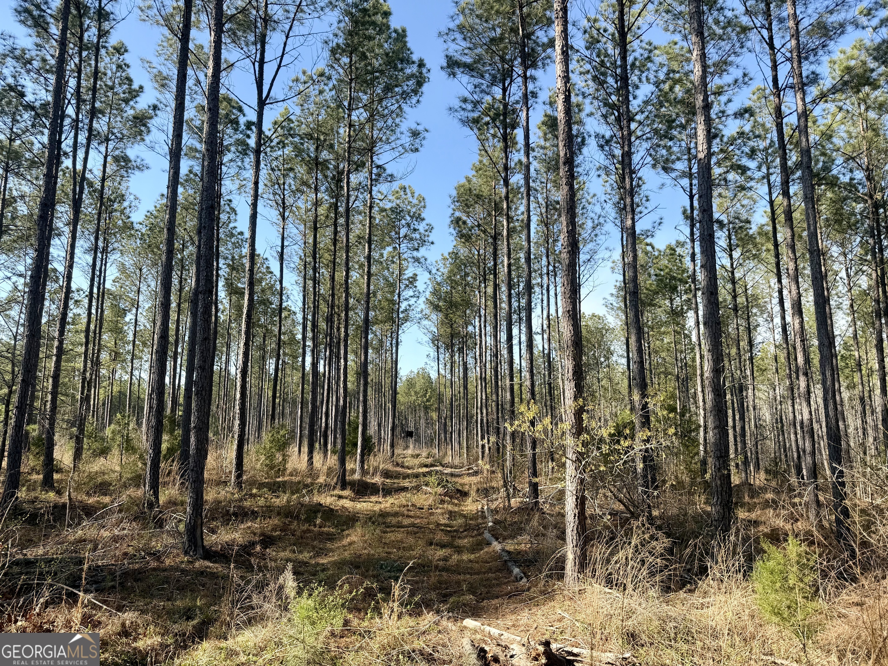 0 Highway 28 Property Photo 24