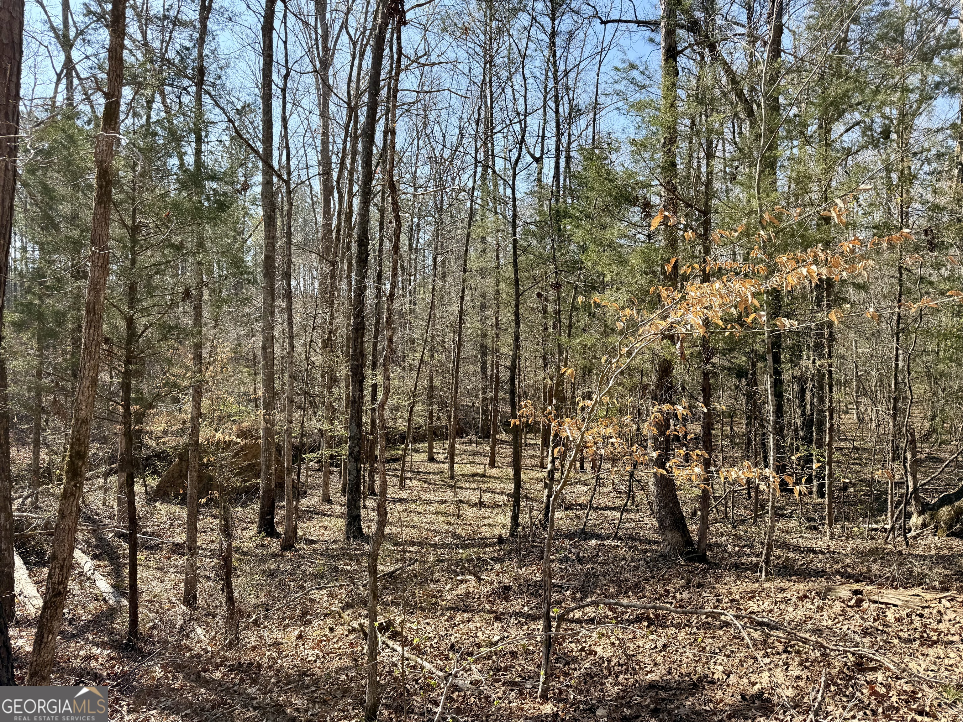 0 Highway 28 Property Photo 25