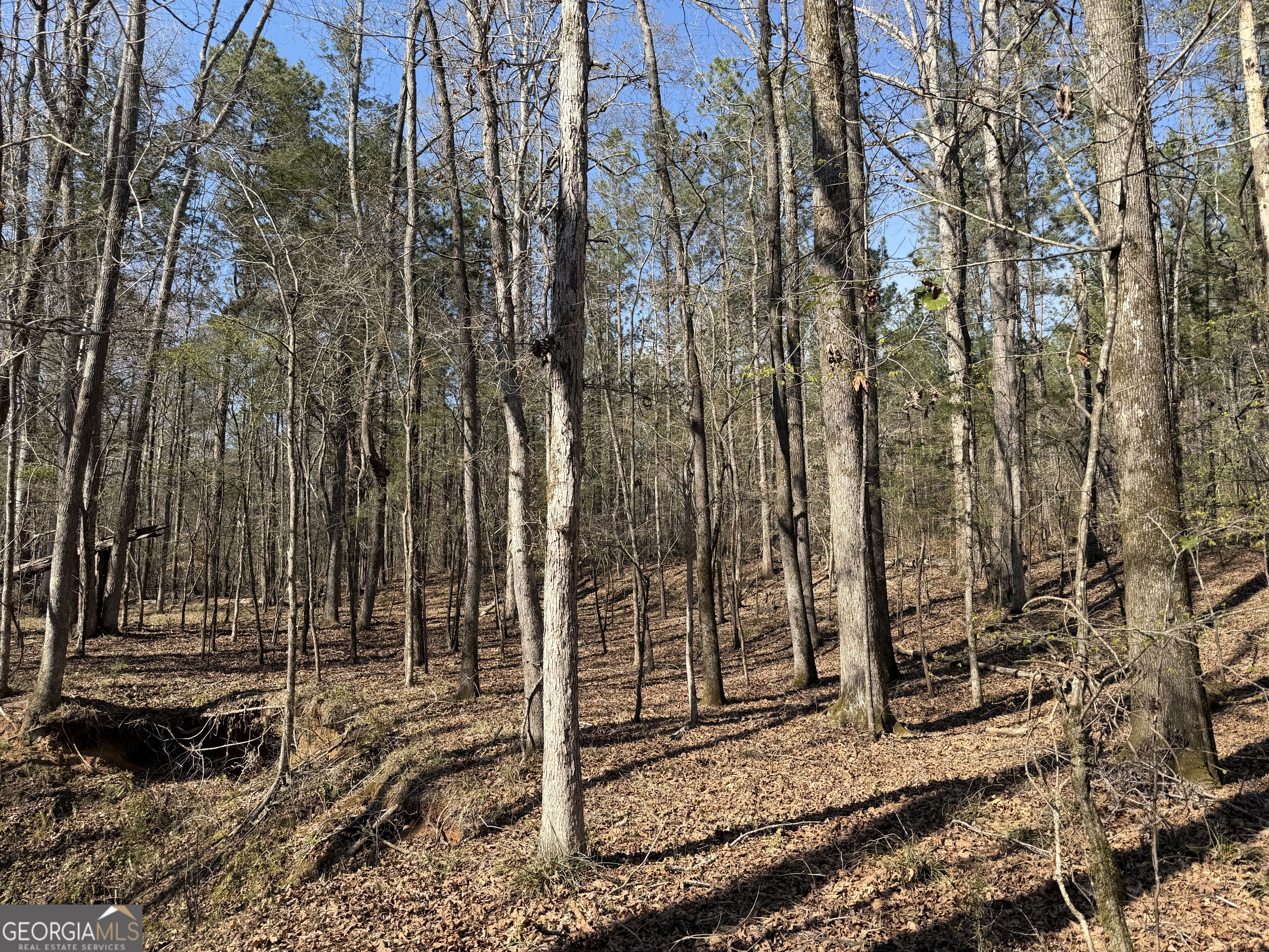 0 Highway 28 Property Photo 26