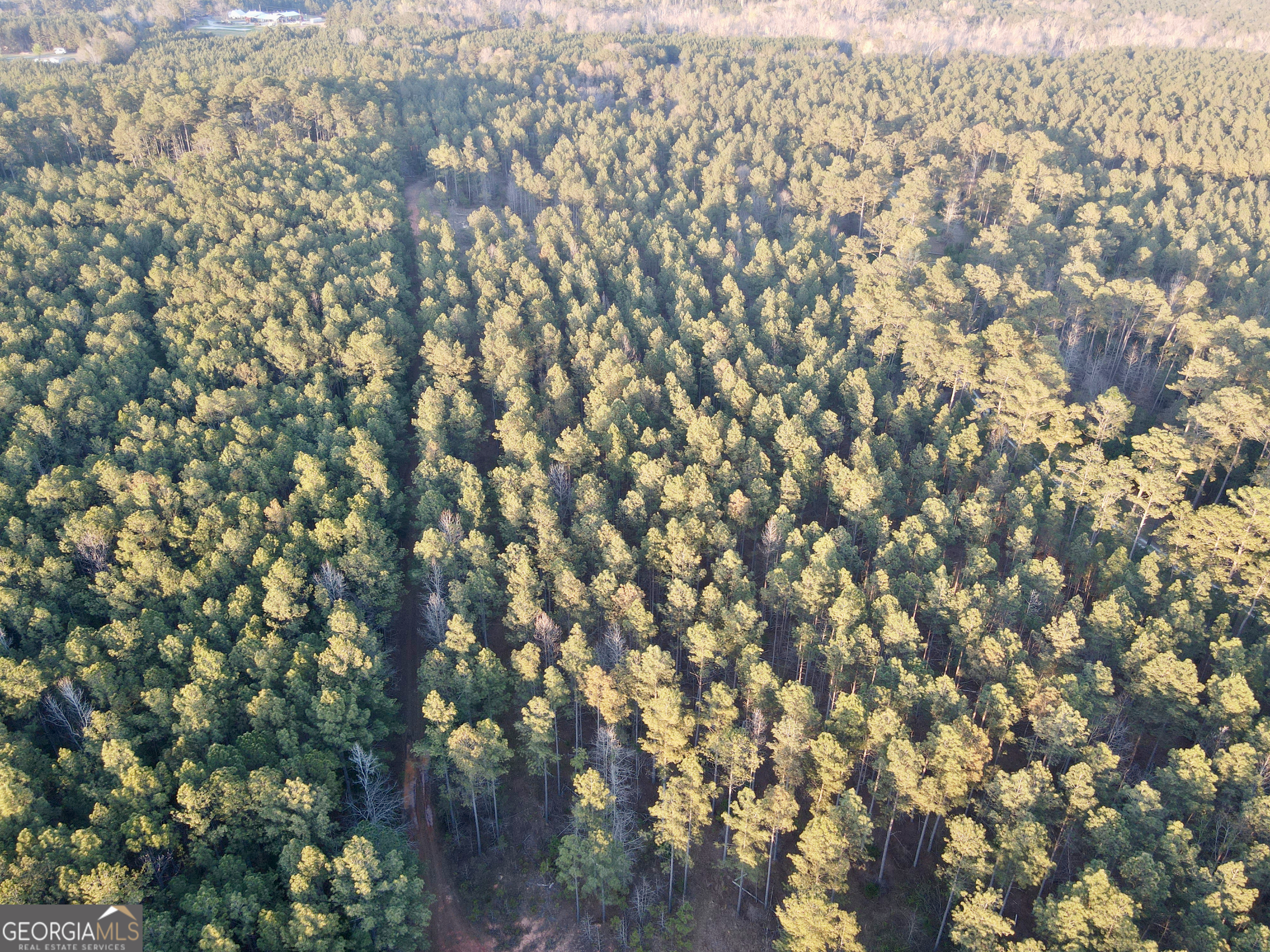 0 Highway 28 Property Photo 28