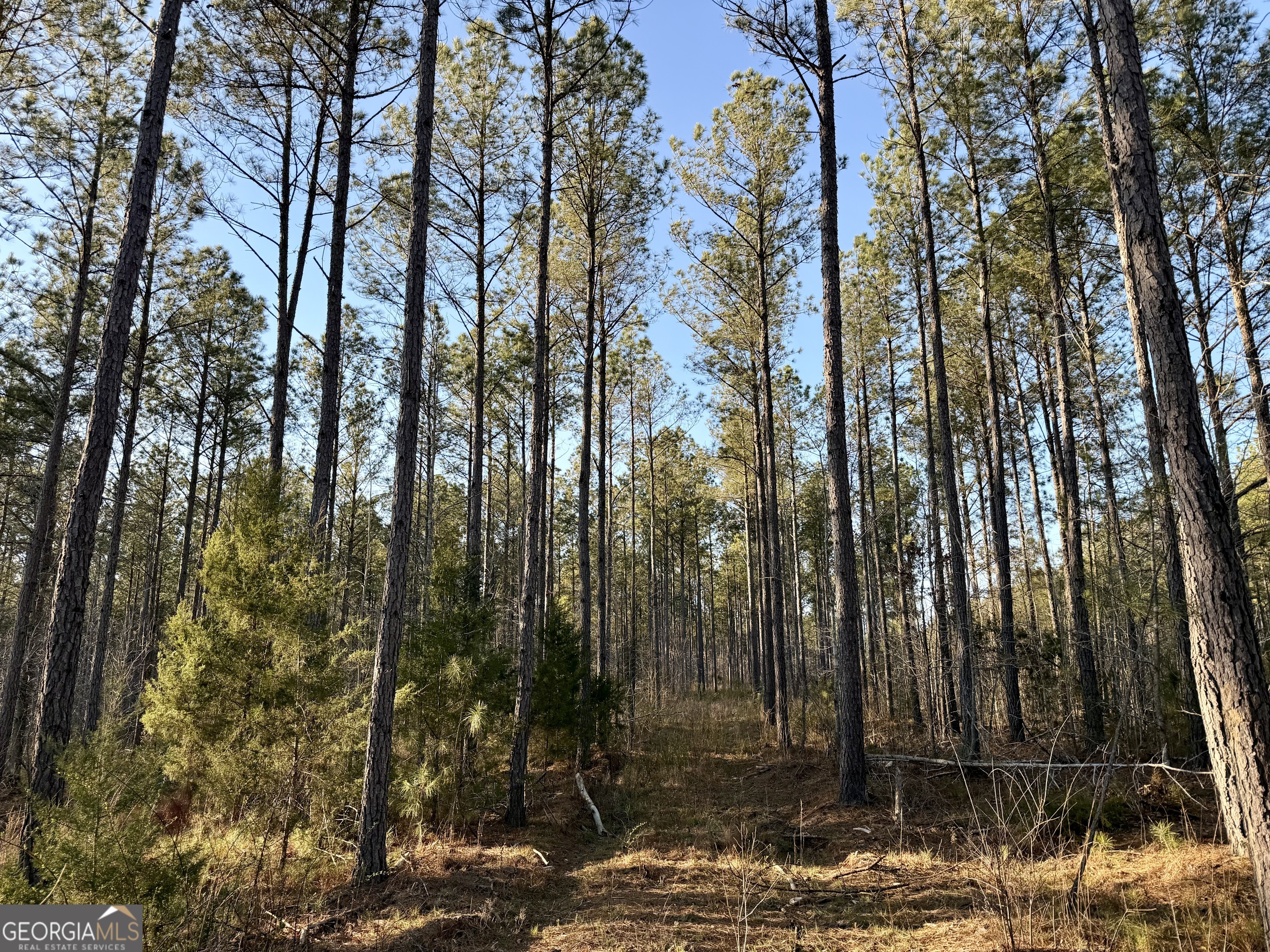 0 Highway 28 Property Photo 29