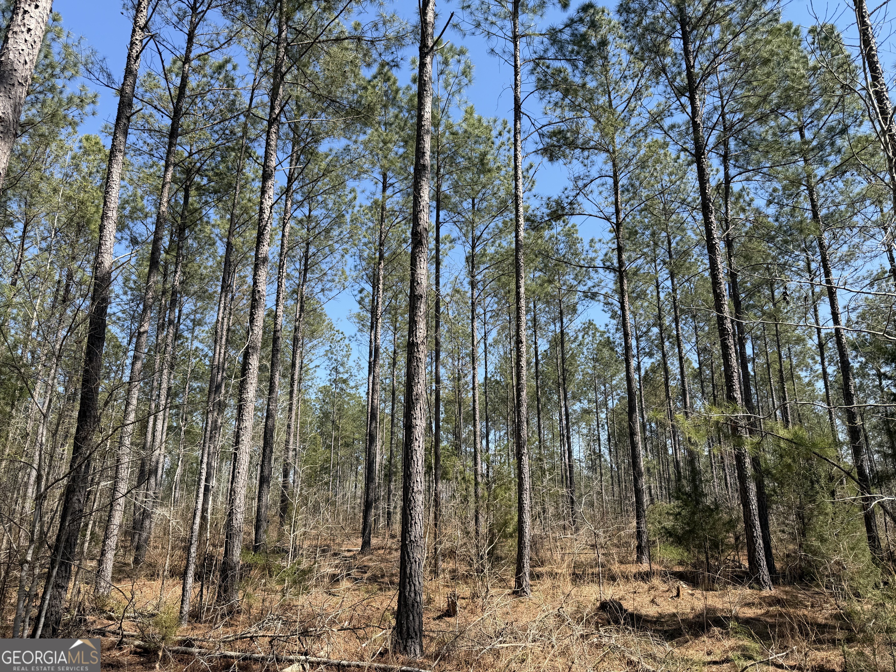 0 Highway 28 Property Photo 30