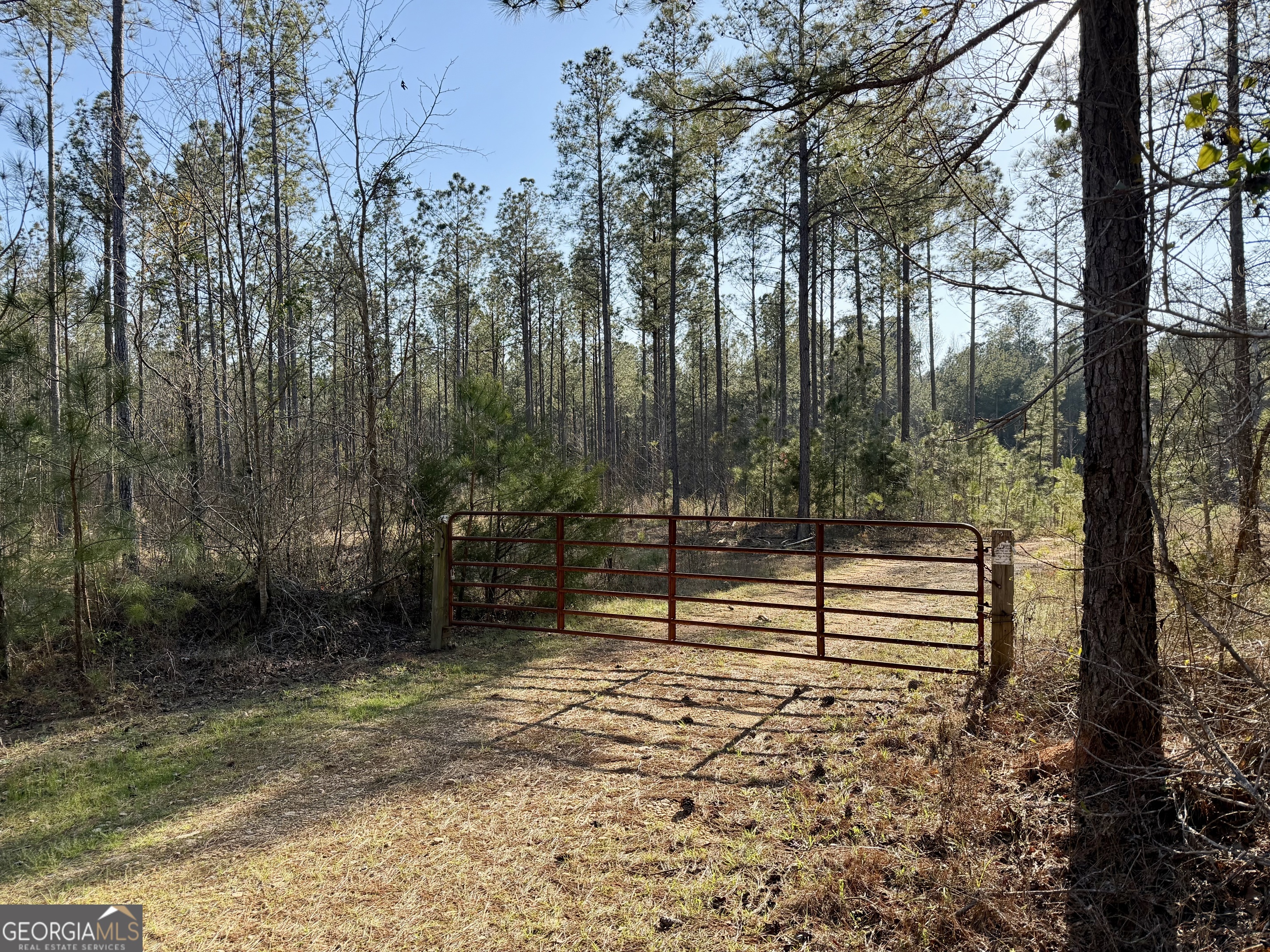 0 Highway 28 Property Photo 35